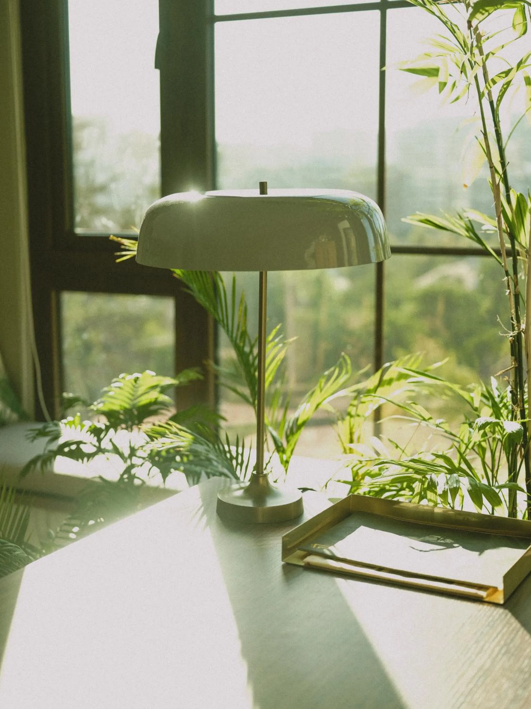 Day in Hotel Eco Boutique Bidasoa