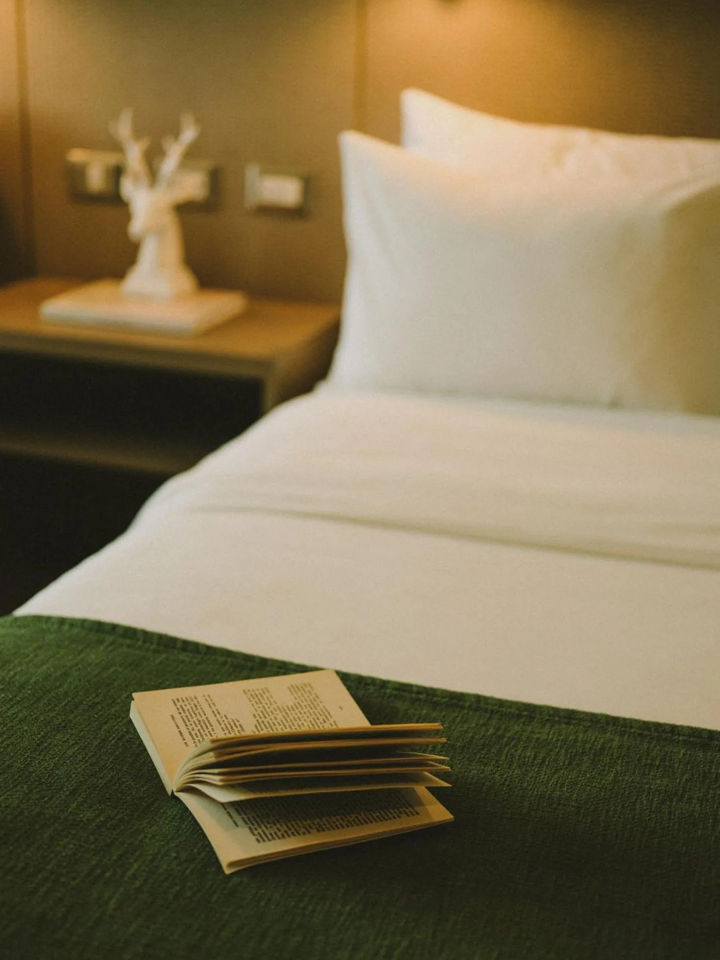 Bed in Hotel Eco Boutique Bidasoa