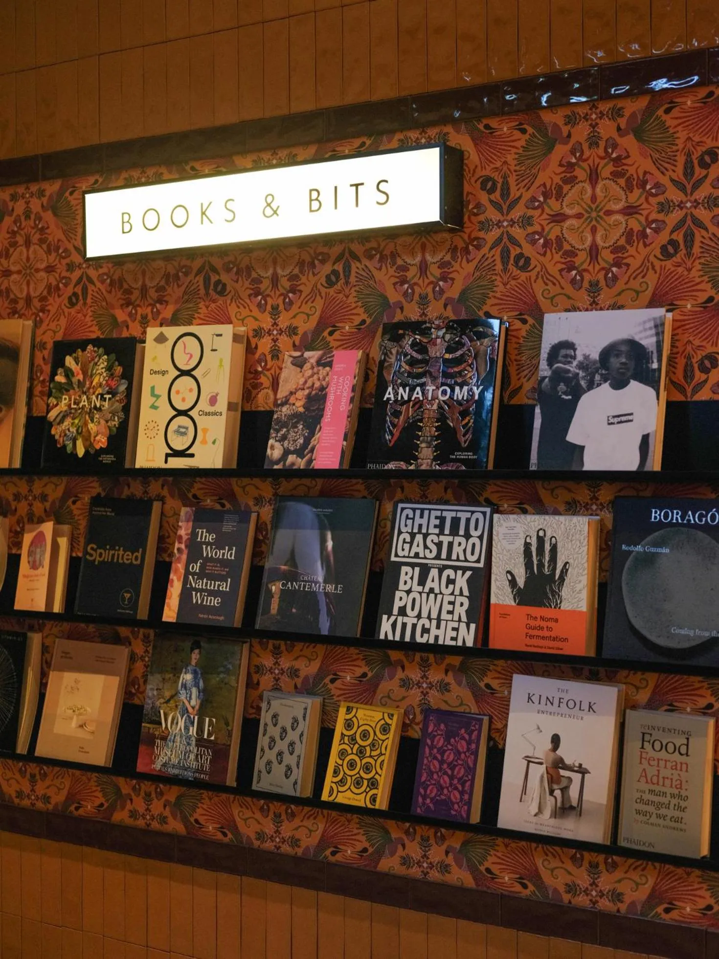 Library in Hotel Eco Boutique Bidasoa