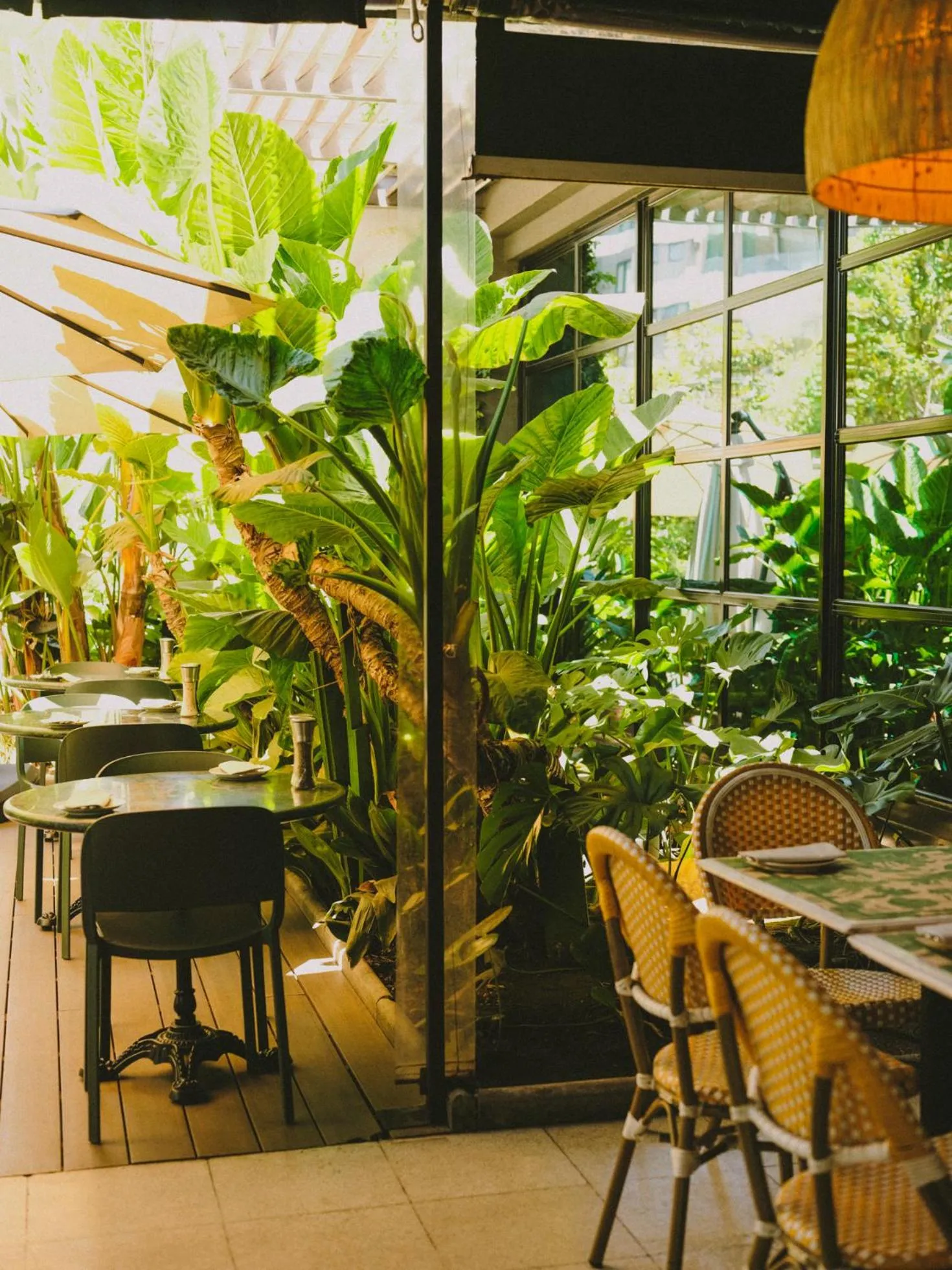 Garden view in Hotel Eco Boutique Bidasoa