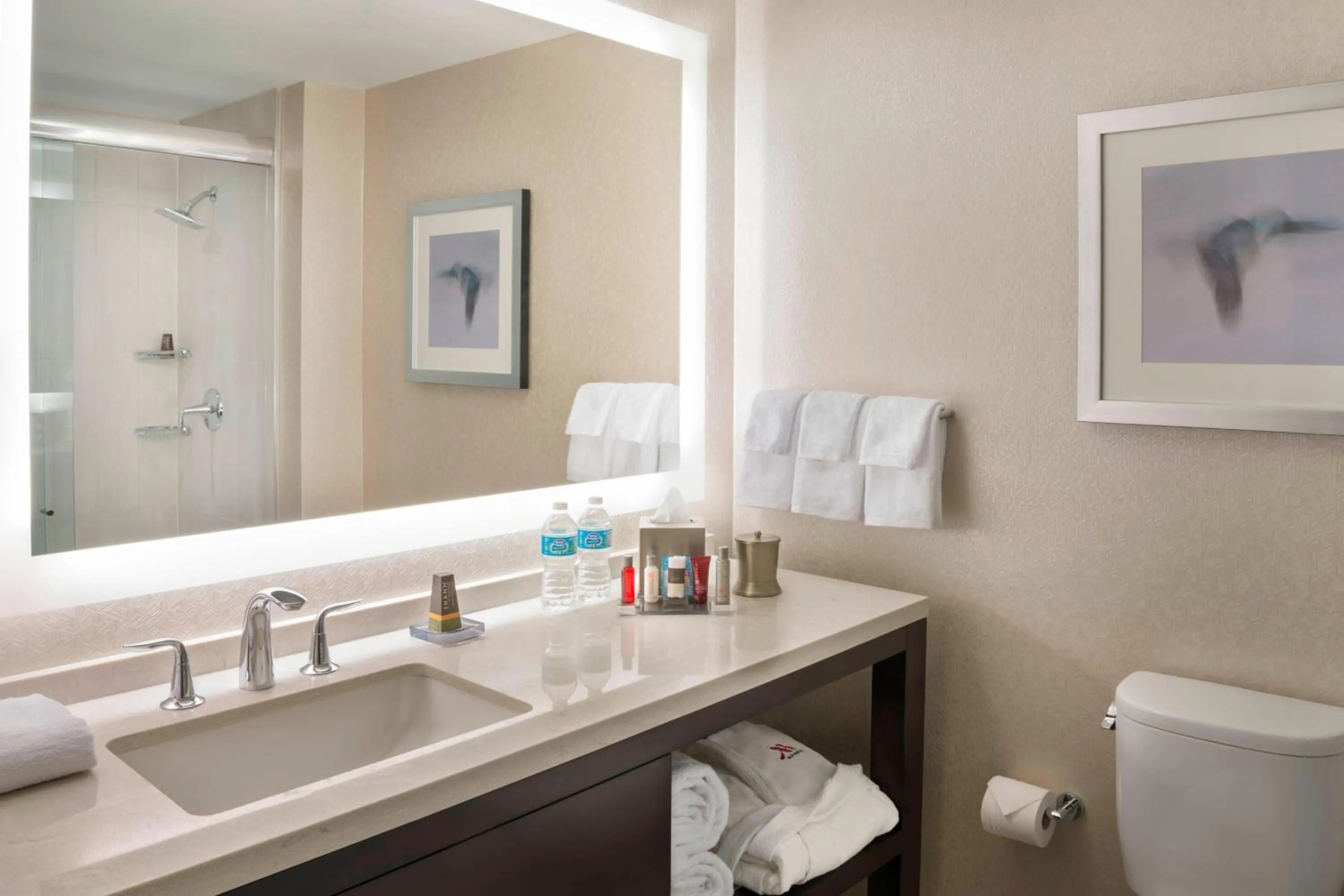 Bathroom in Marriott Downtown at CF Toronto Eaton Centre