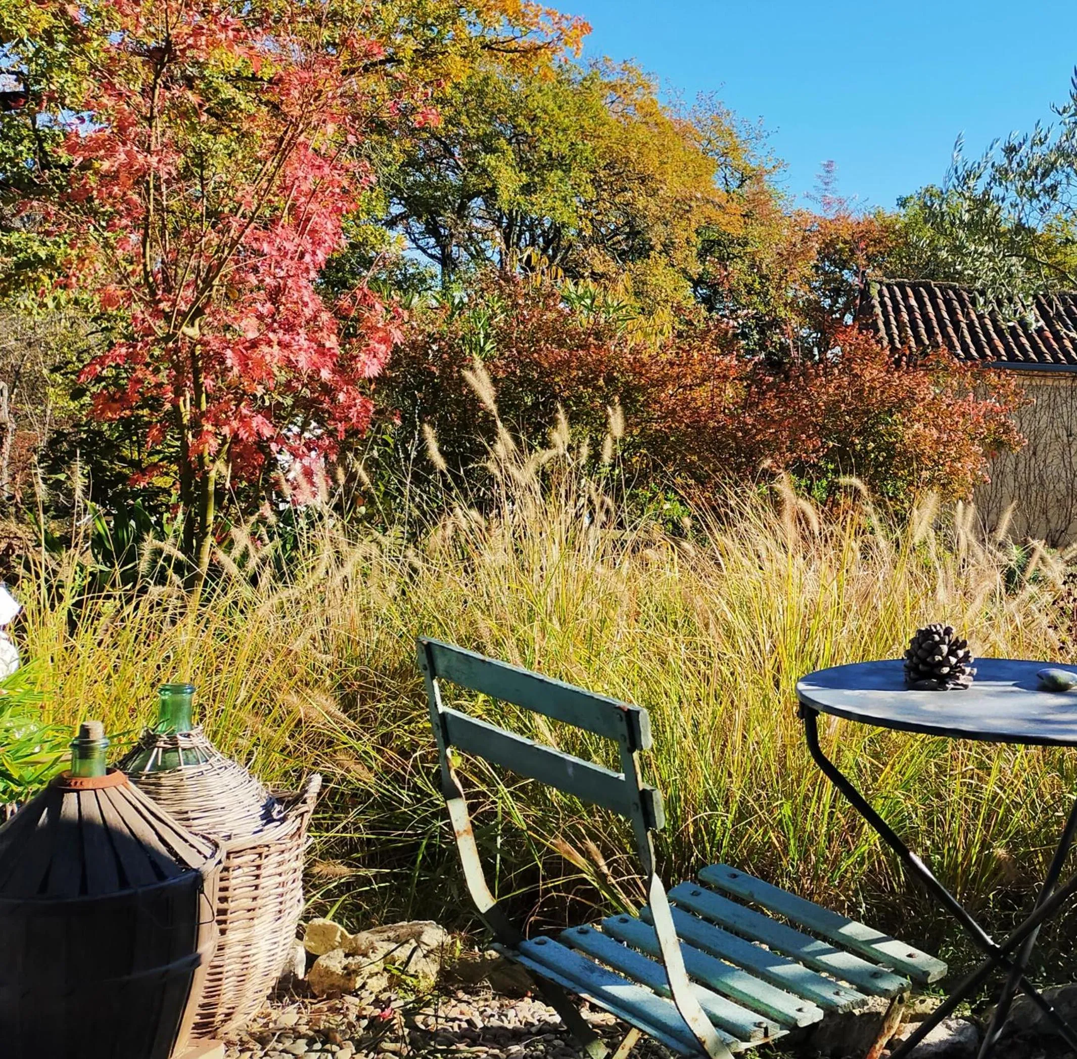 Garden in les Didascalies