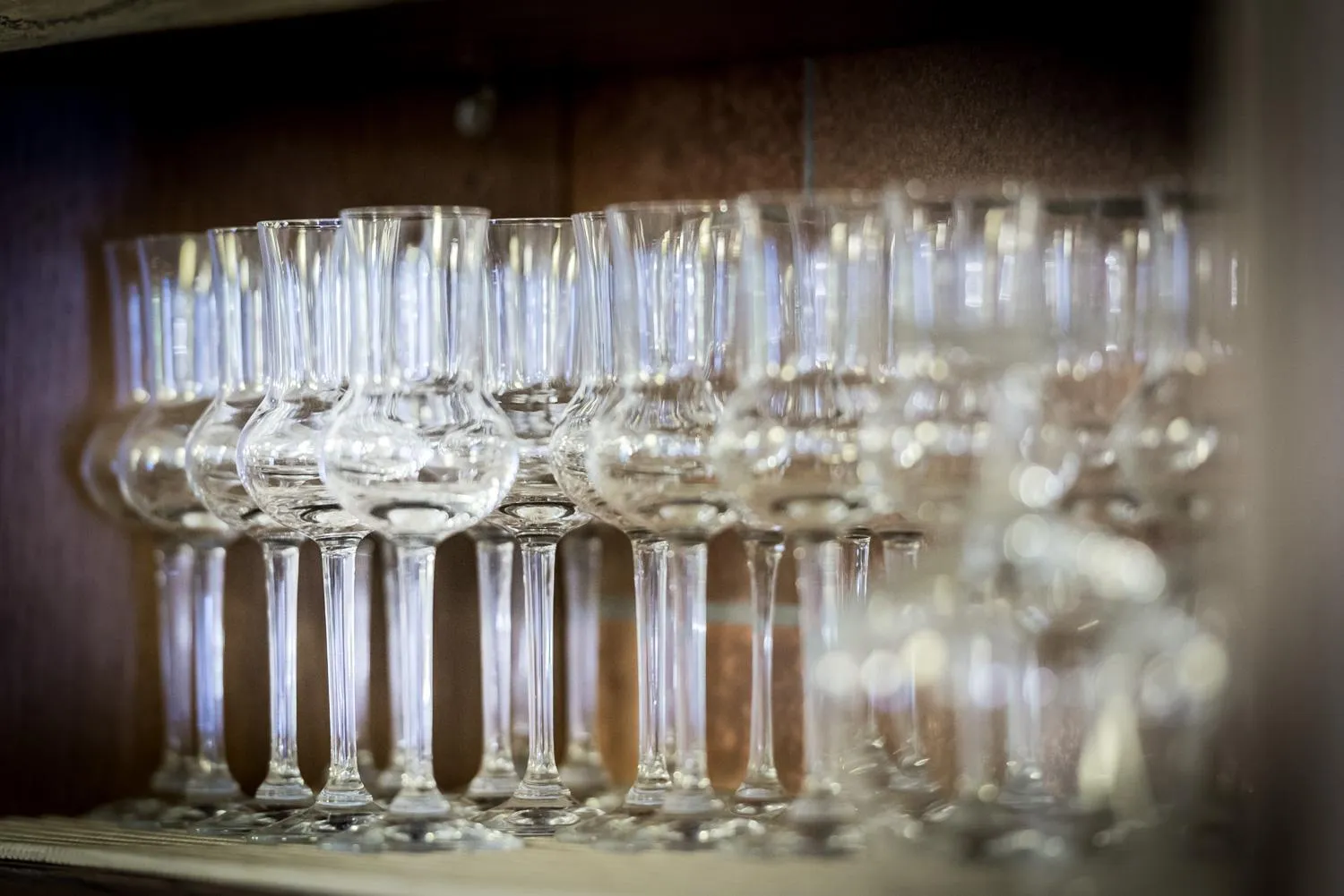 Lounge or bar in Hotel Plankenhof B&B