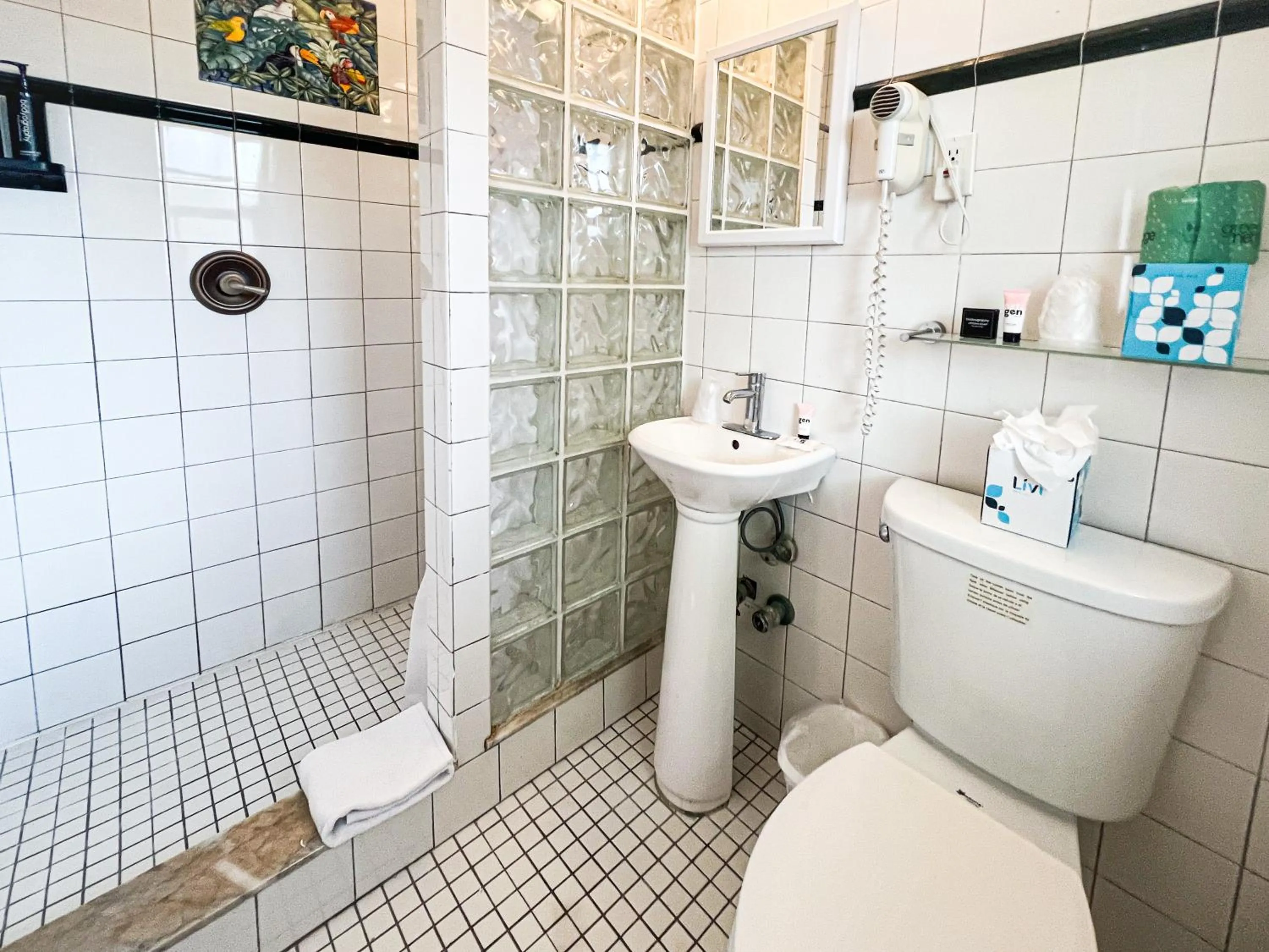 Bathroom in Winterset