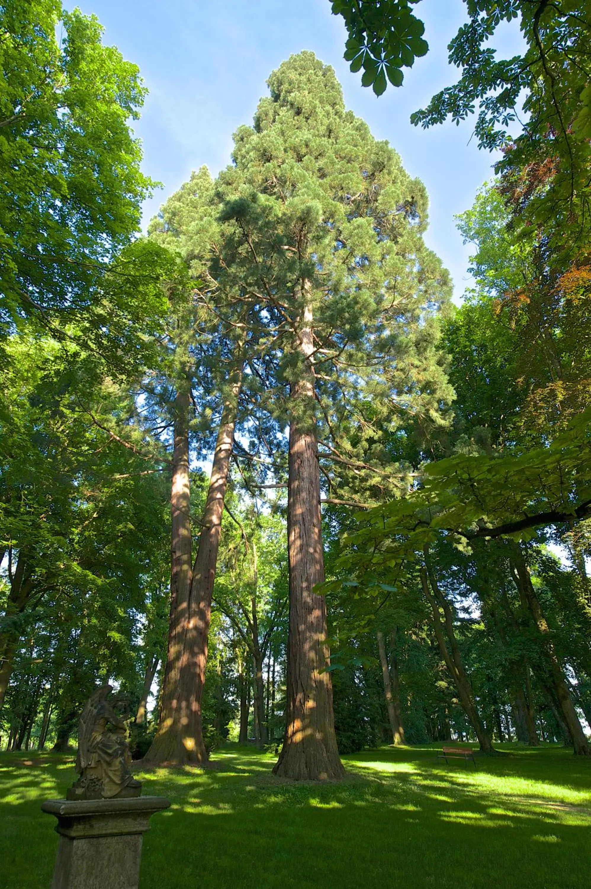 Garden in Zámek Ratměřice - Hotel & Resort
