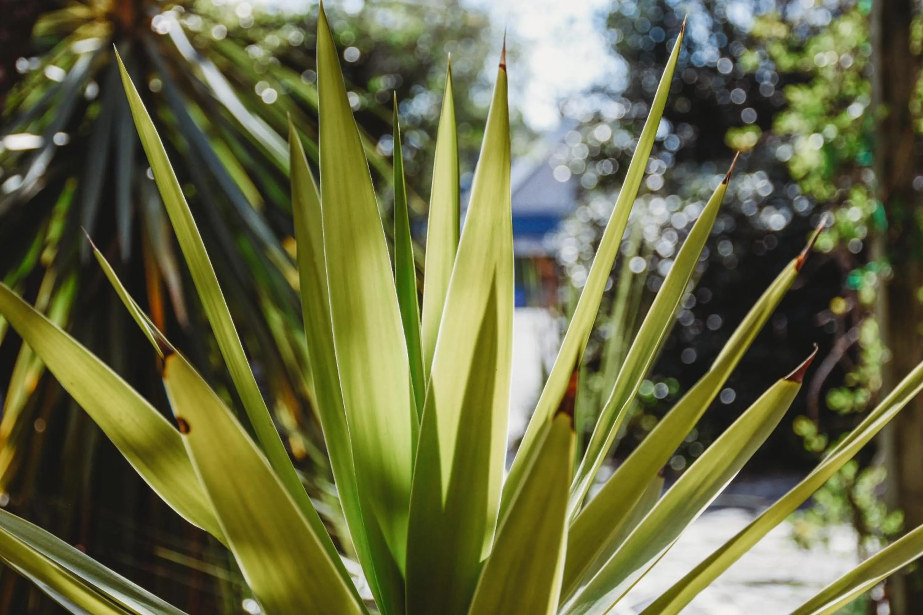 Natural landscape in Te Wanaka Lodge