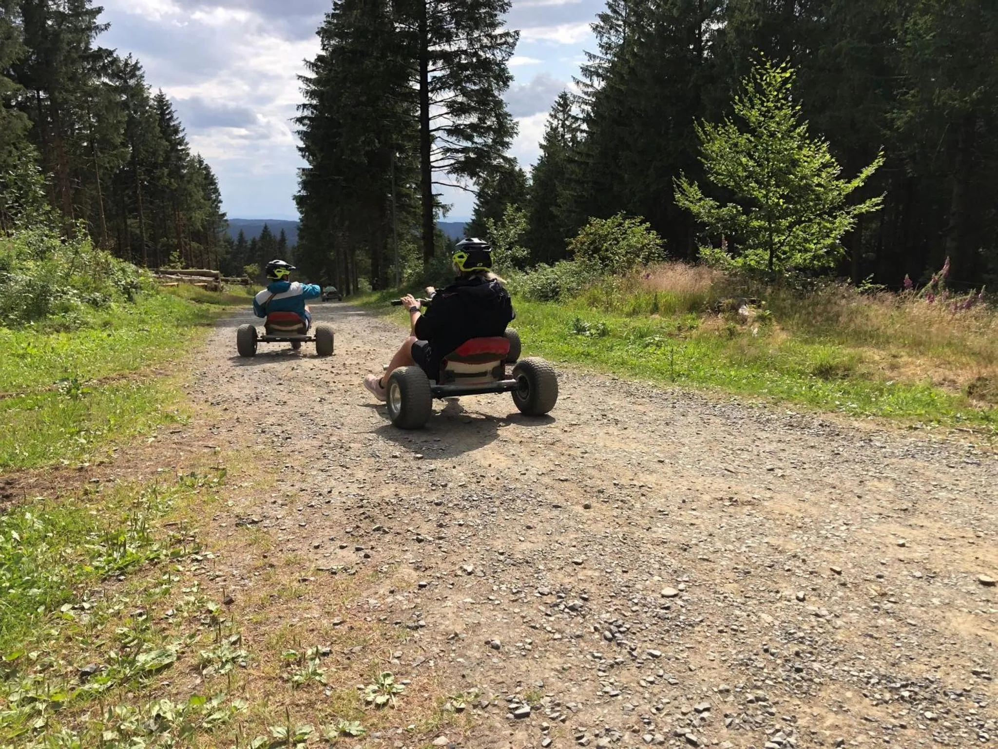 Activities in Der Wolfshof - Dein Zuhause im Harz