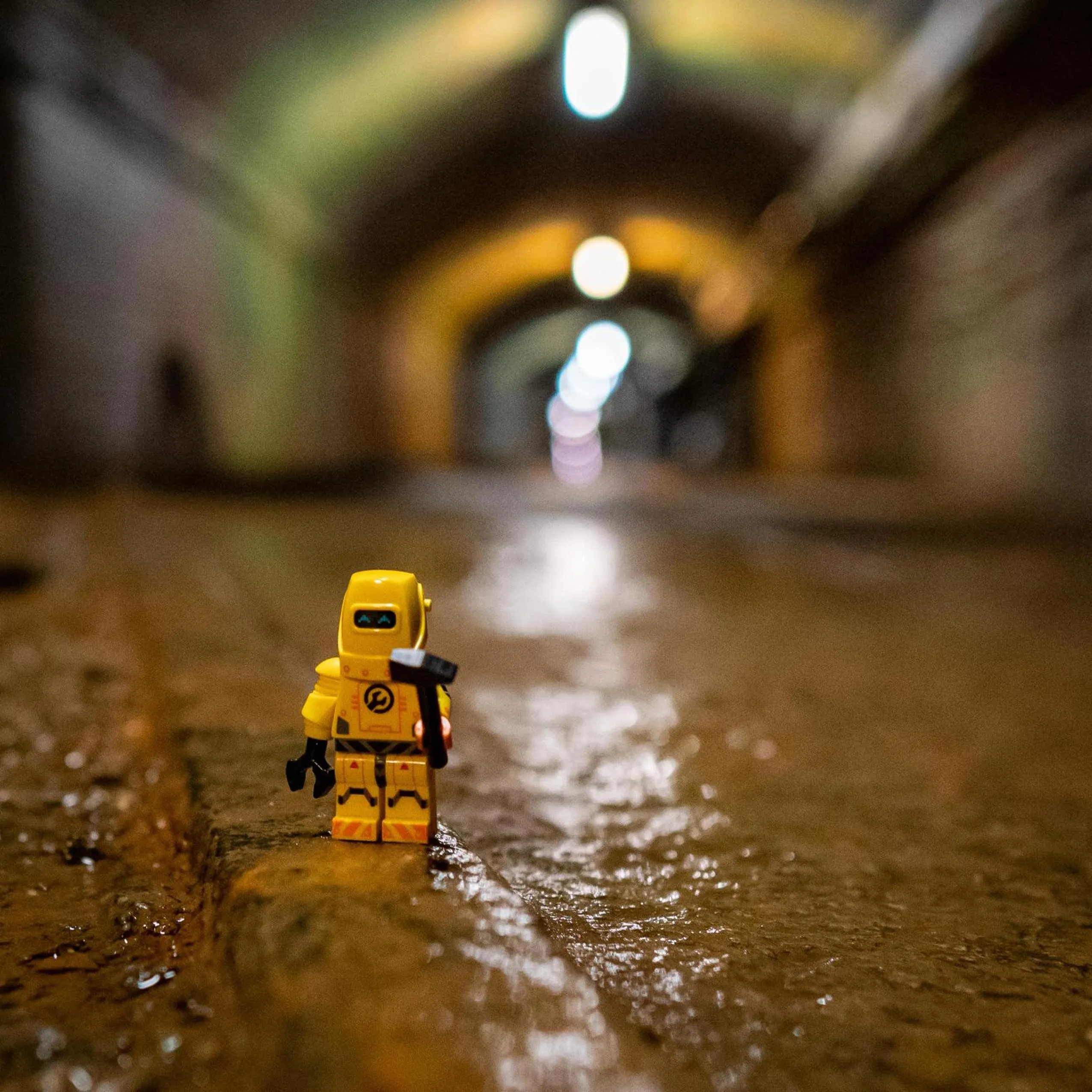 Activities in Der Wolfshof - Dein Zuhause im Harz