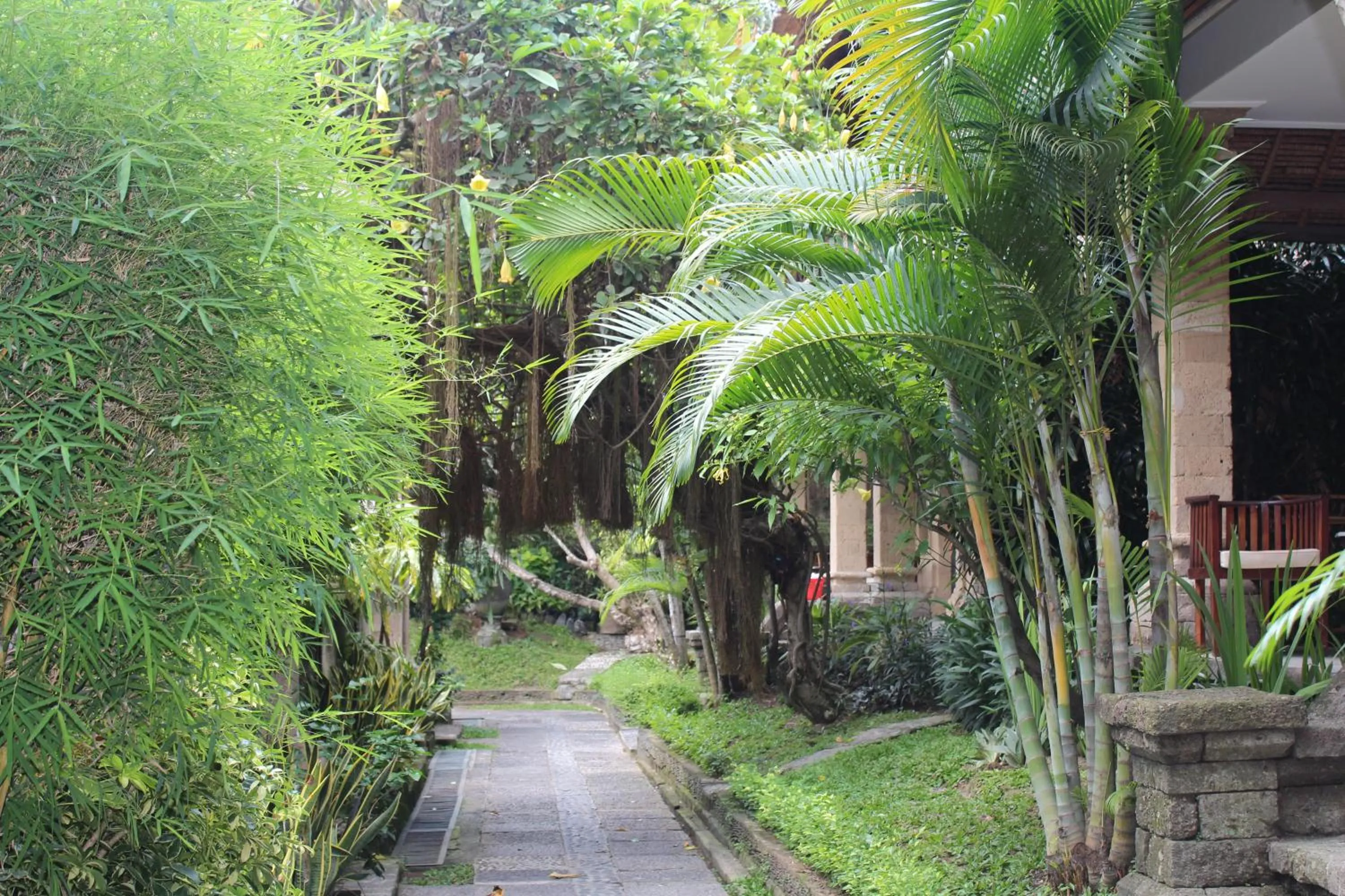 Garden in Bali Agung Village