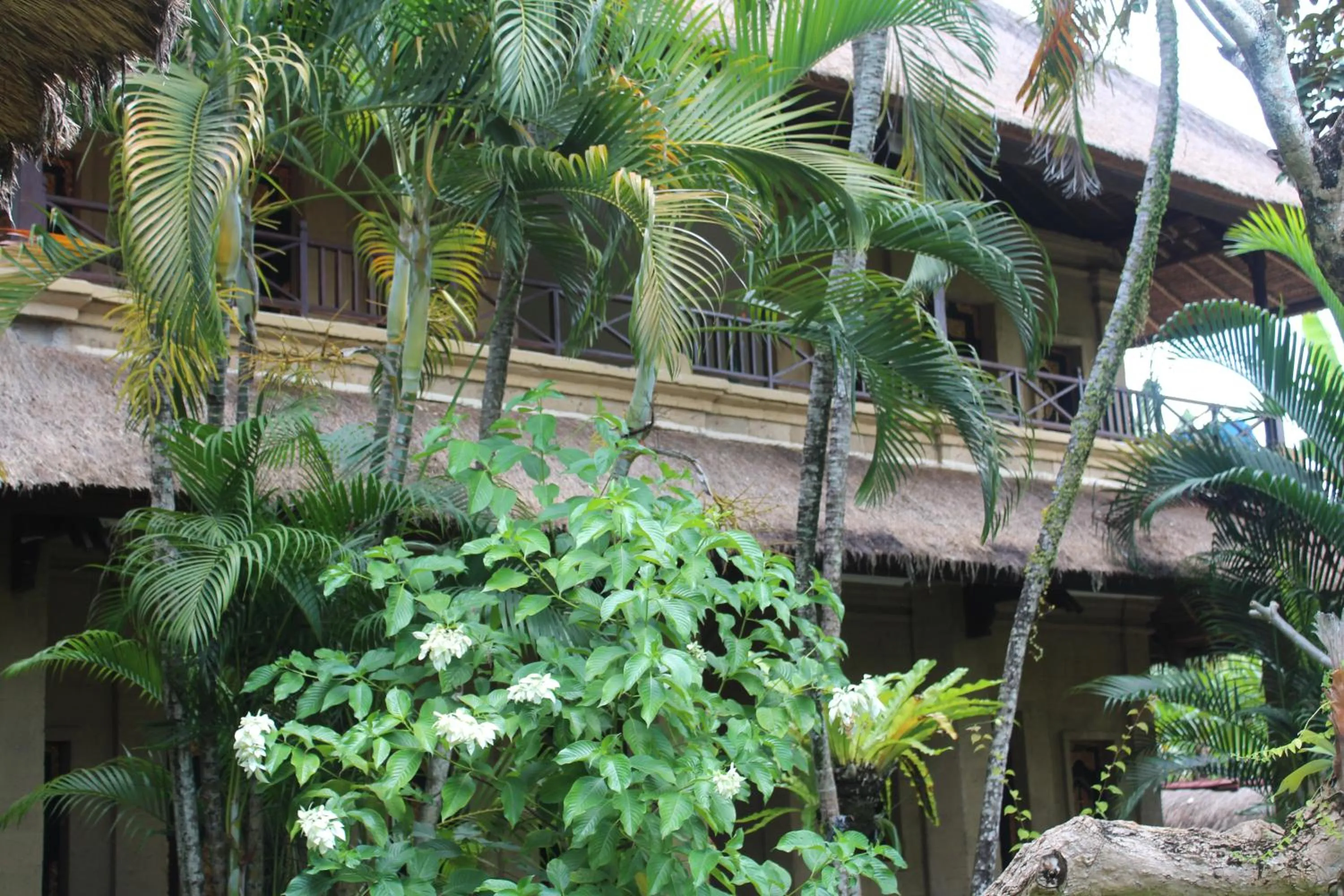 Property building in Bali Agung Village