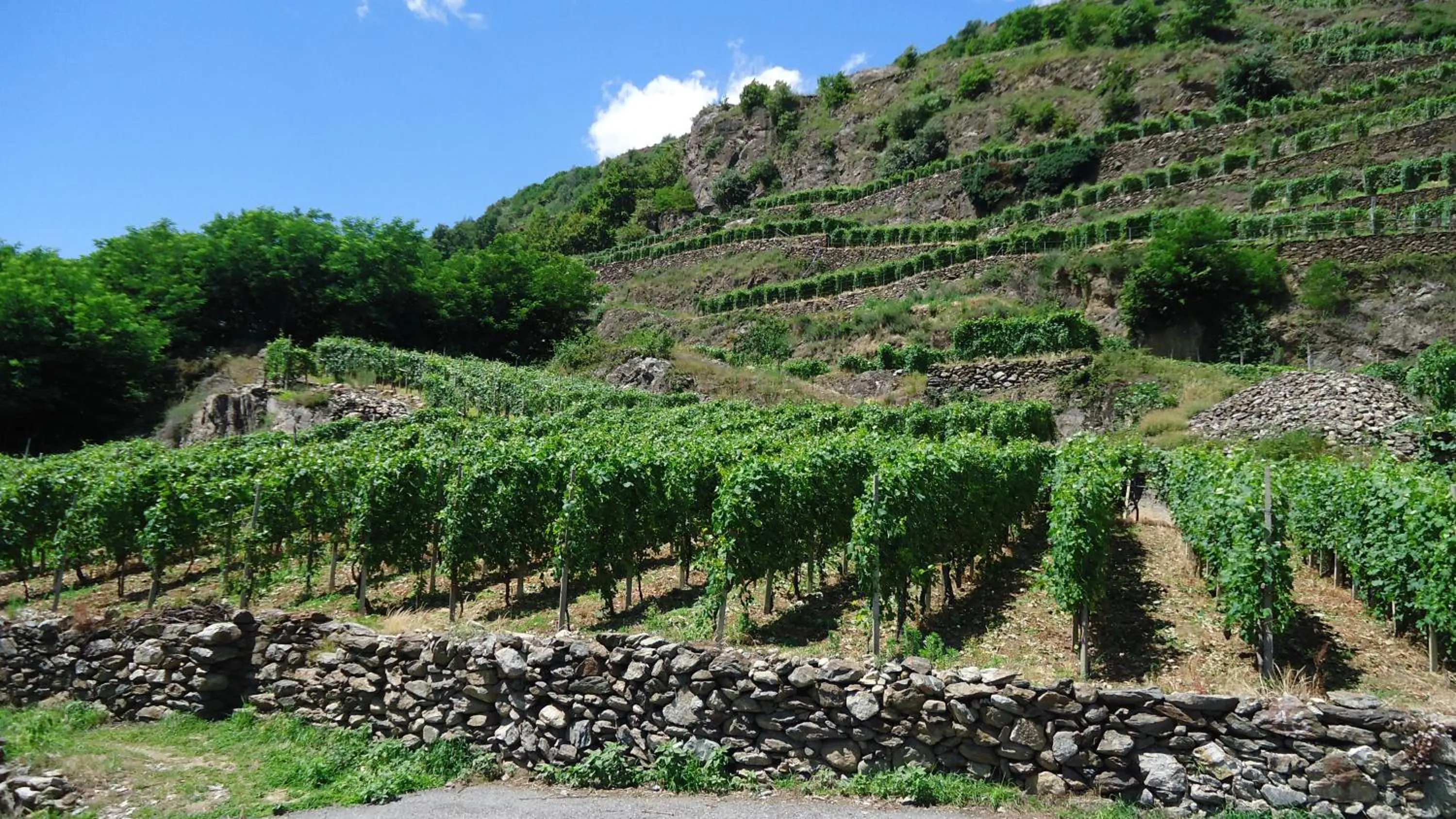 Area and facilities in Hotel La Lanterna