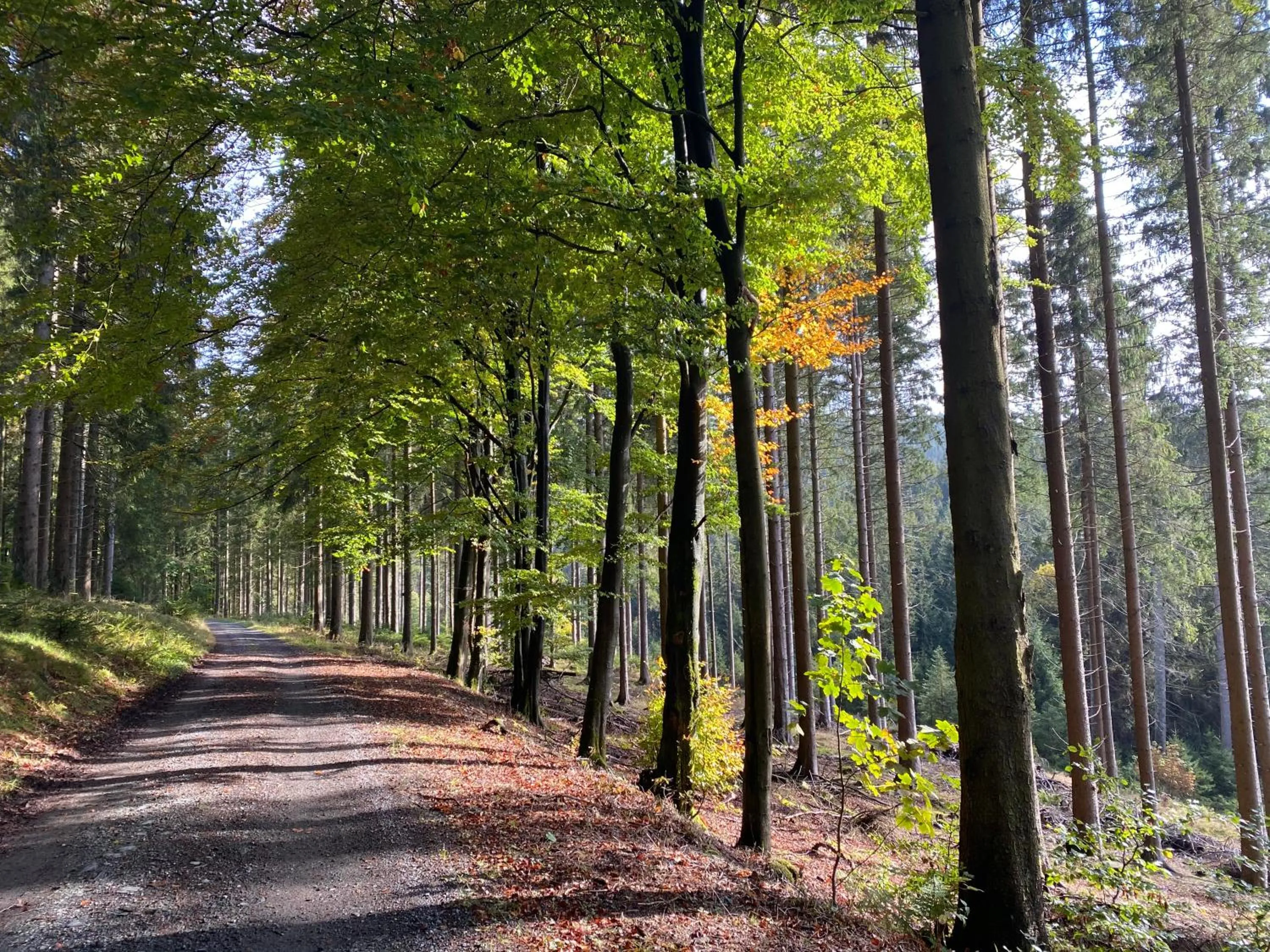 Area and facilities in Der schöne Asten - Resort Winterberg
