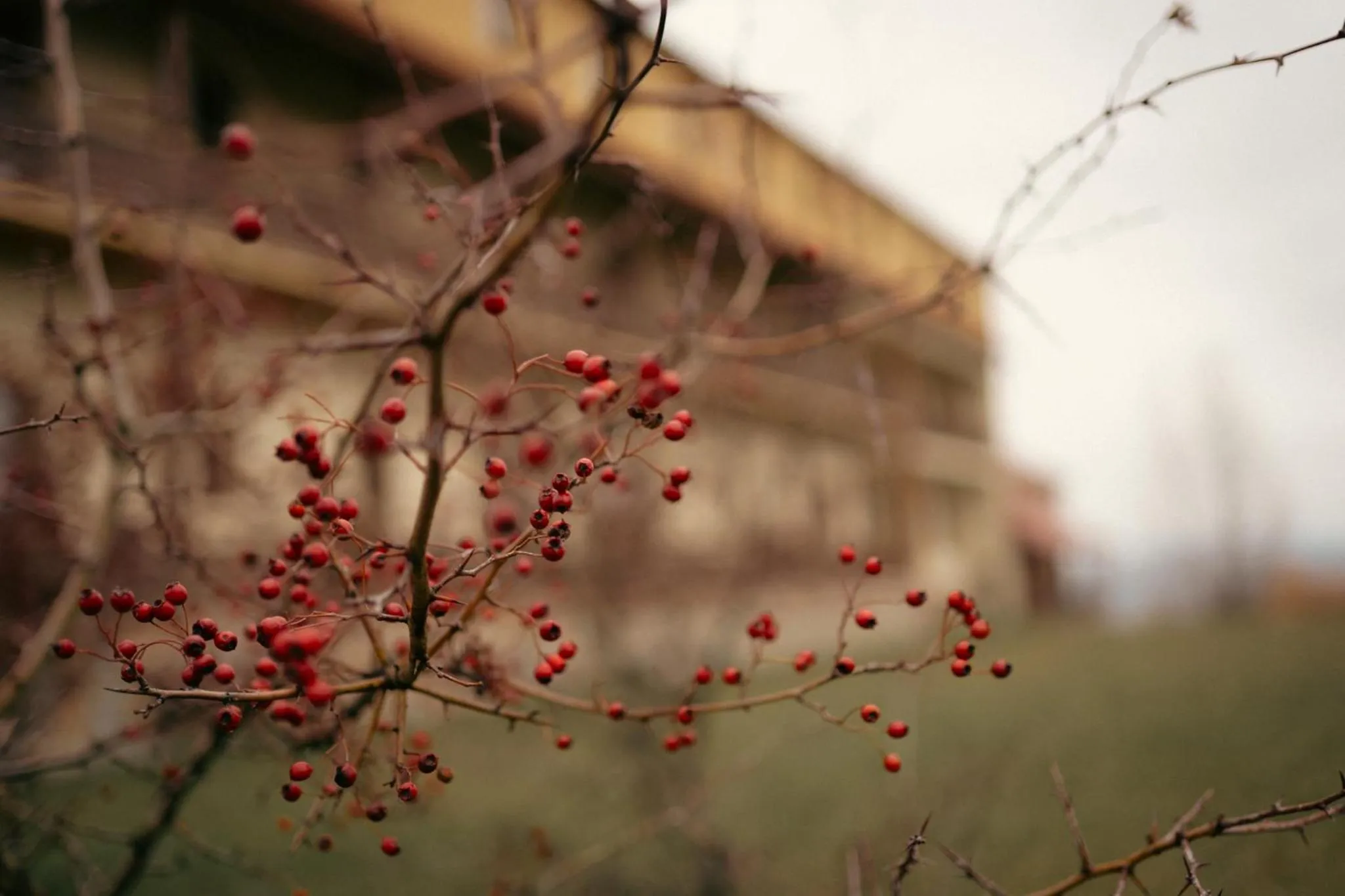 Property building in Hotel Kopanice