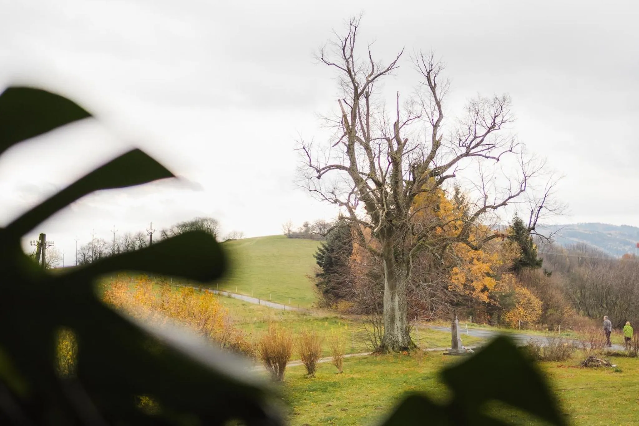 View (from property/room) in Hotel Kopanice