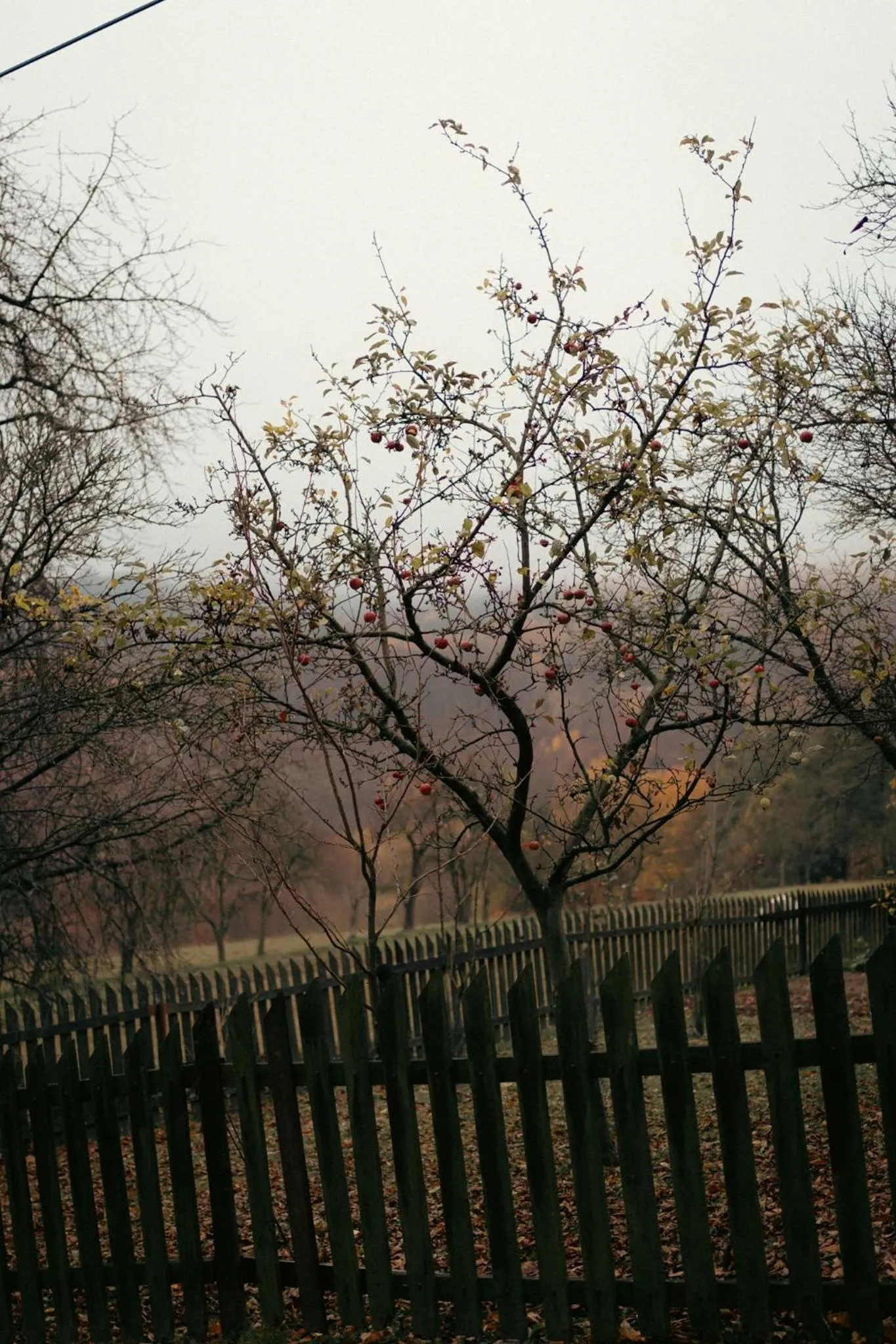 Neighbourhood in Hotel Kopanice