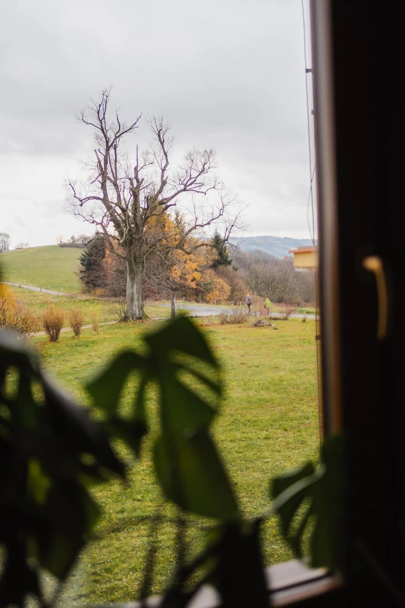 View (from property/room) in Hotel Kopanice