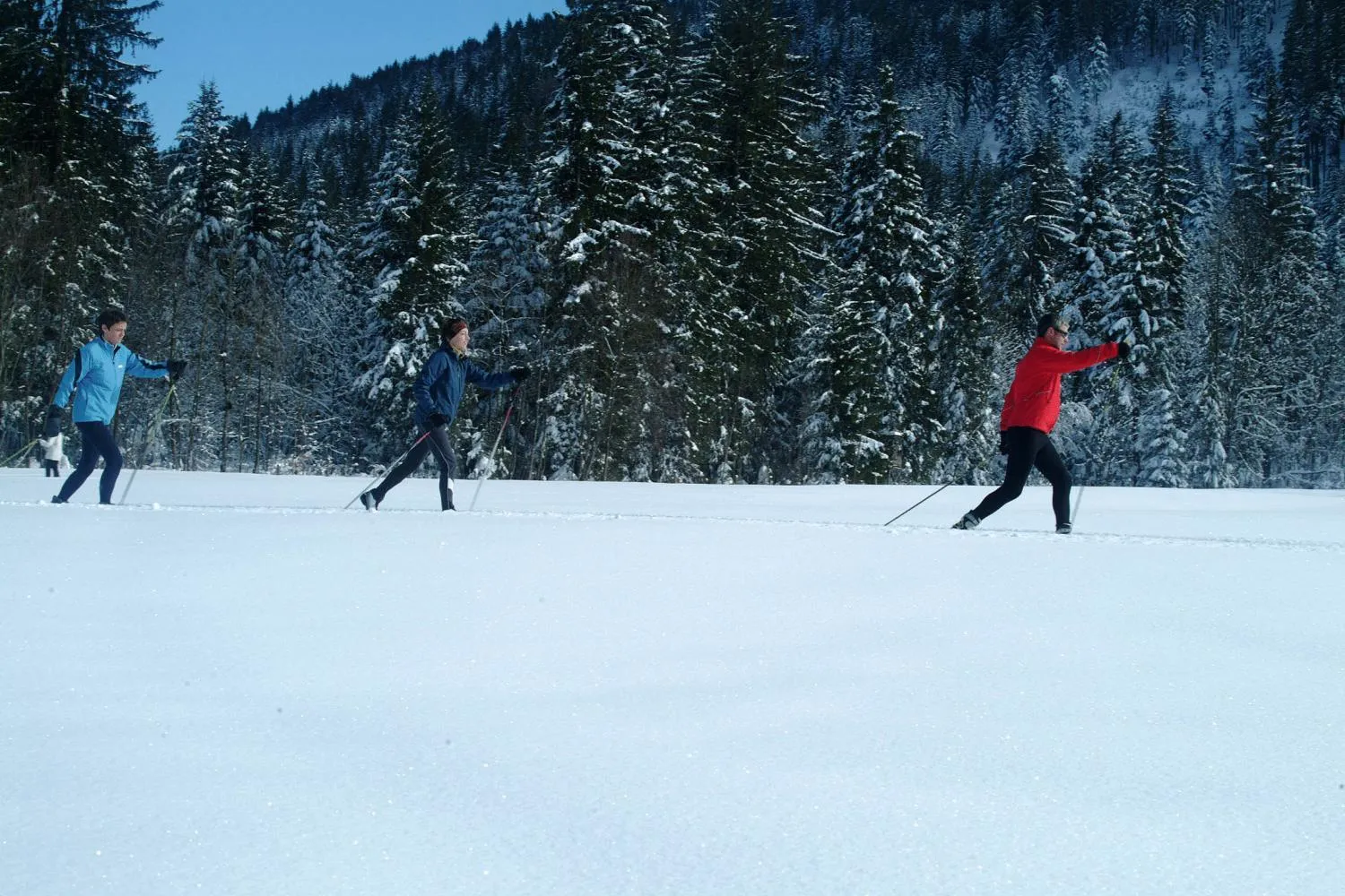 Activities in Appartements Ferienwohnungen Alpenblick