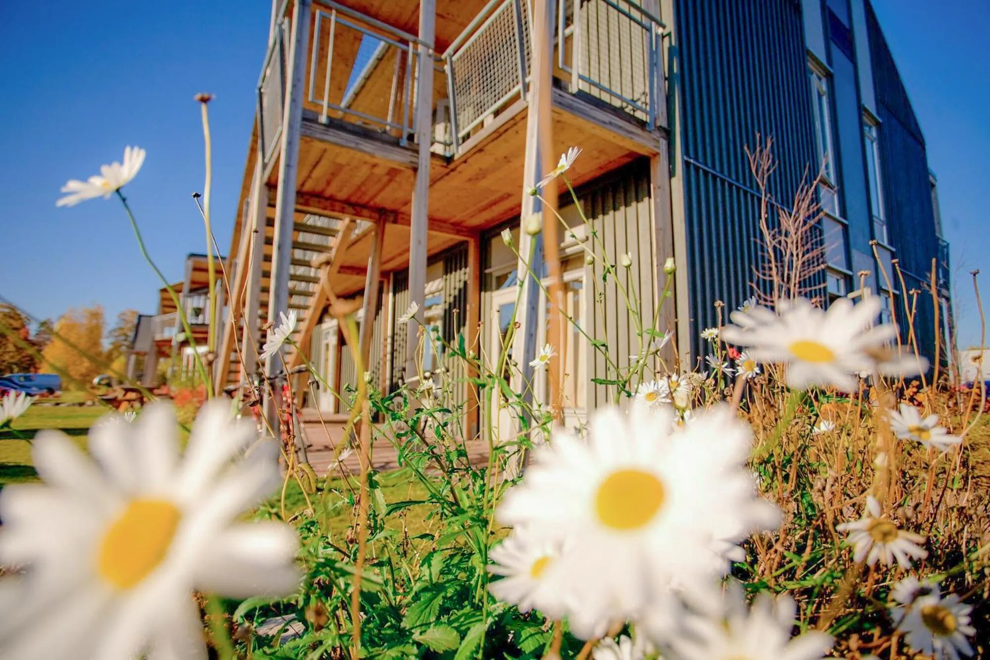 Property building in Vikingskipet Hotell