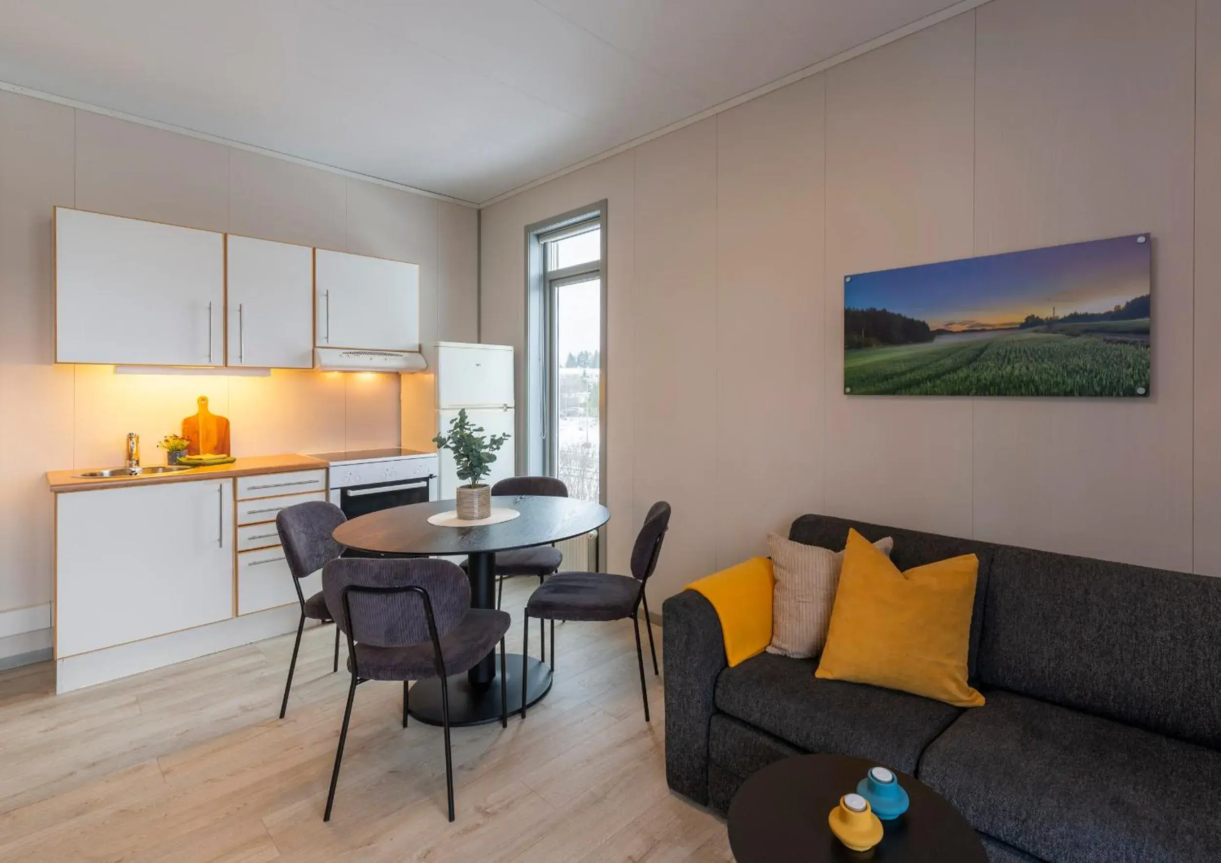 Apartment with Balcony in Vikingskipet Hotell Apartment with Balcony in Vikingskipet Hotell