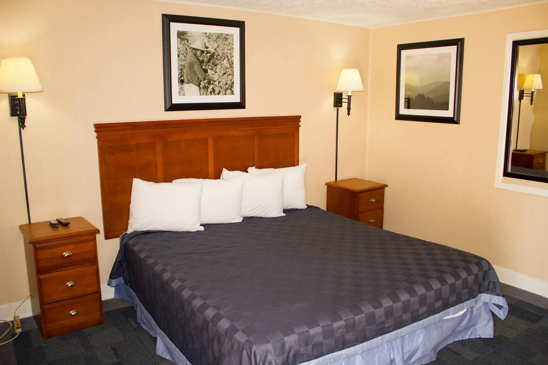 Bedroom in Budget Inn