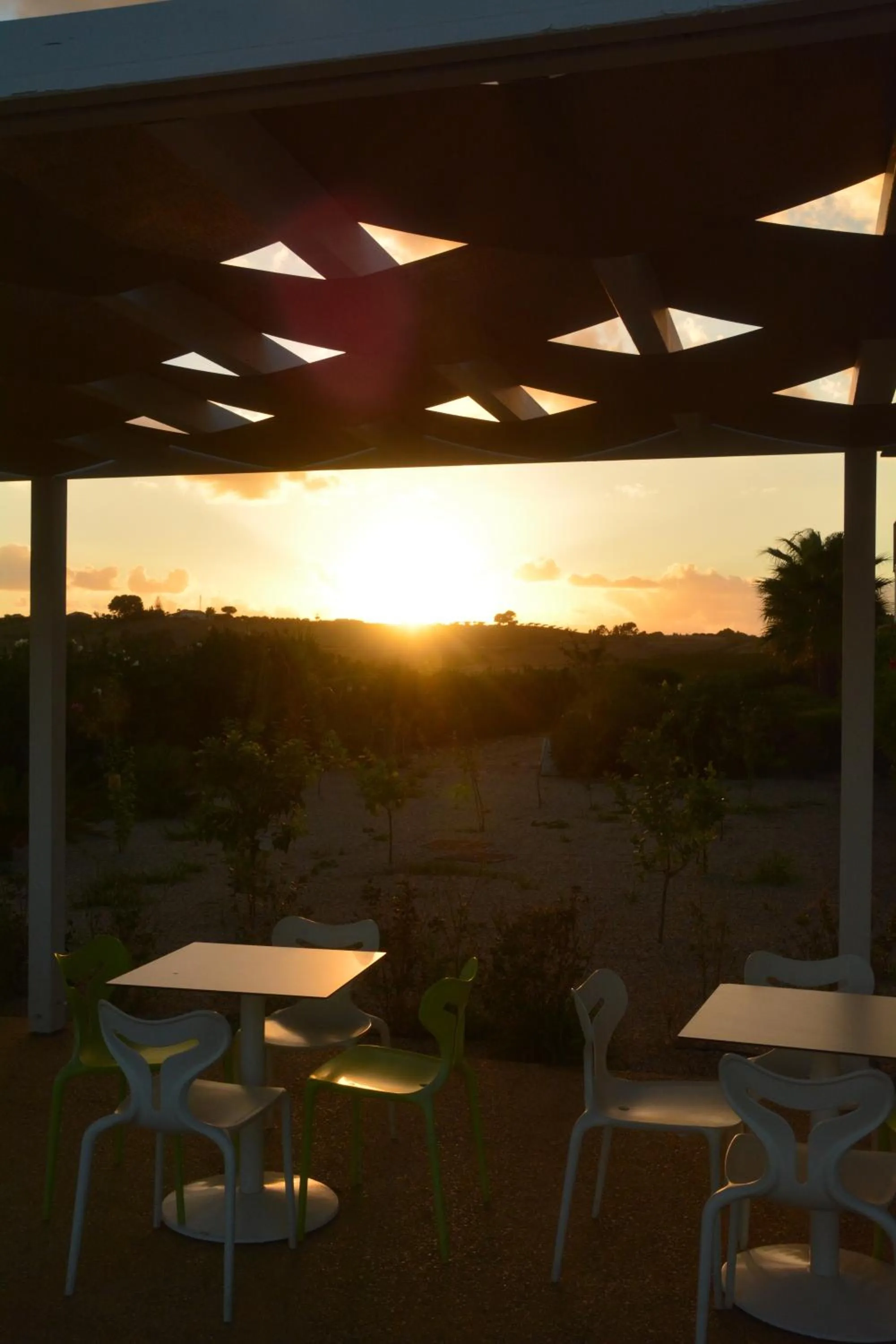 Restaurant/places to eat in Il Vigneto Resort