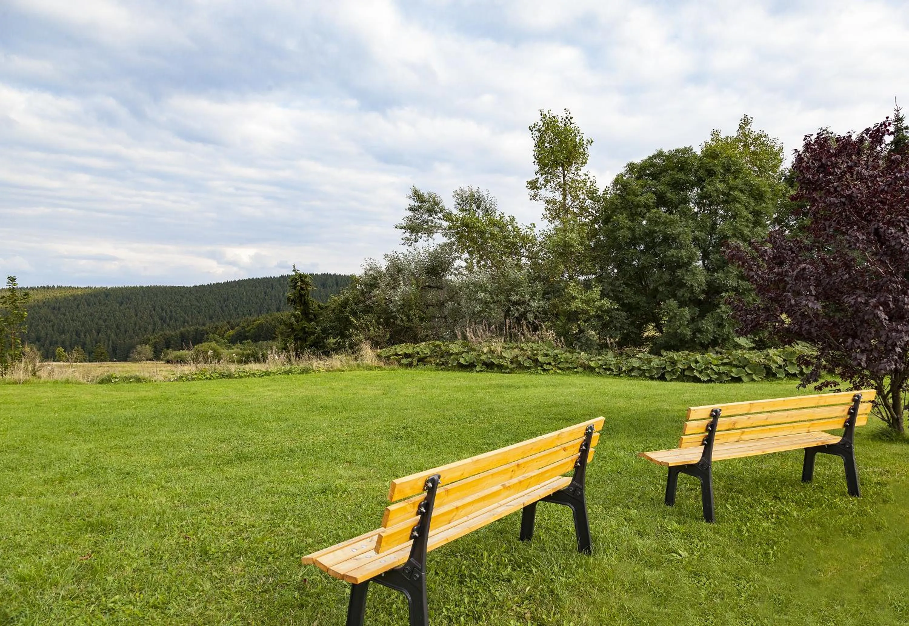 Natural landscape in Hotel Kammweg
