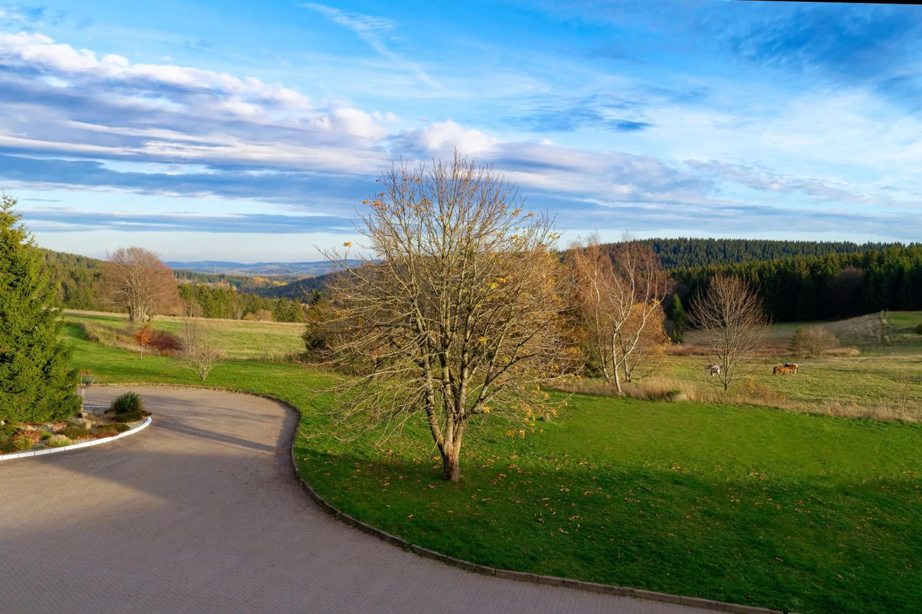 View (from property/room) in Hotel Kammweg