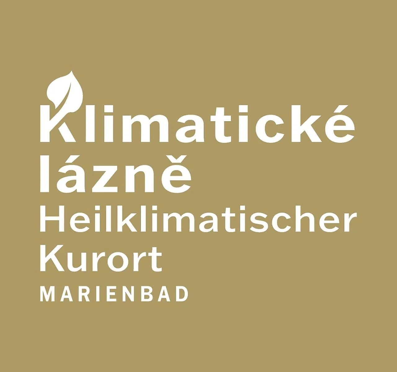 Deluxe Double or Twin Room in Villa Patriot Boutique Hotel