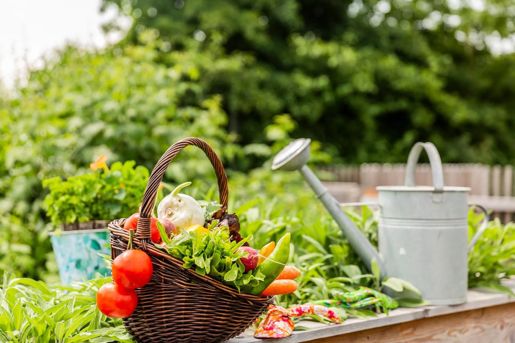 Garden in VILA VITA Pannonia