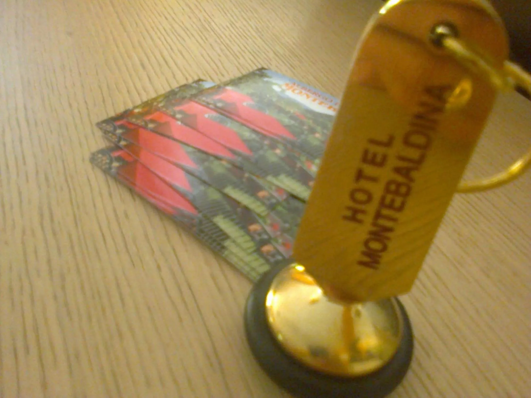 Property logo or sign in Hotel Montebaldina