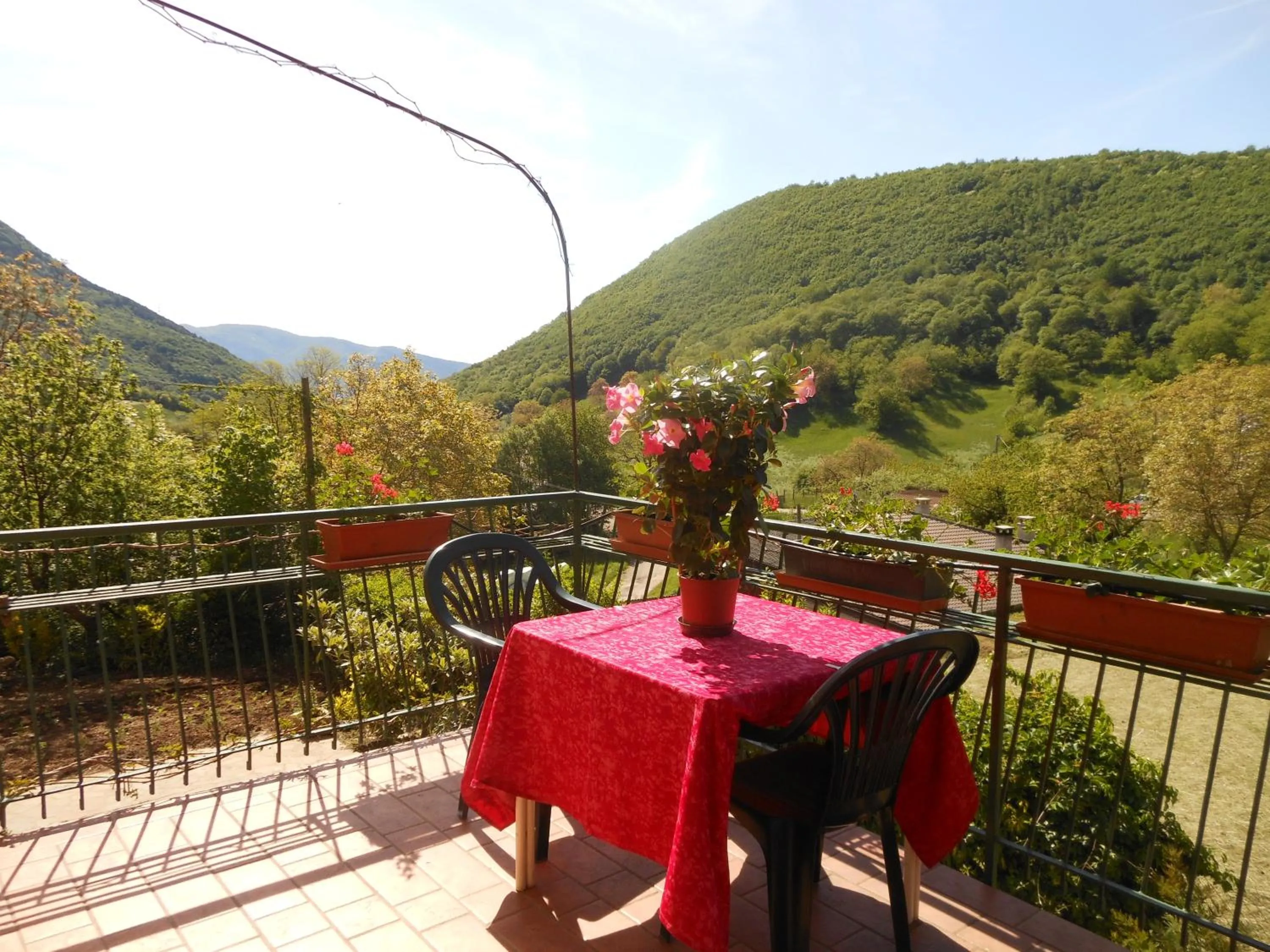 Balcony/Terrace in Hotel Montebaldina