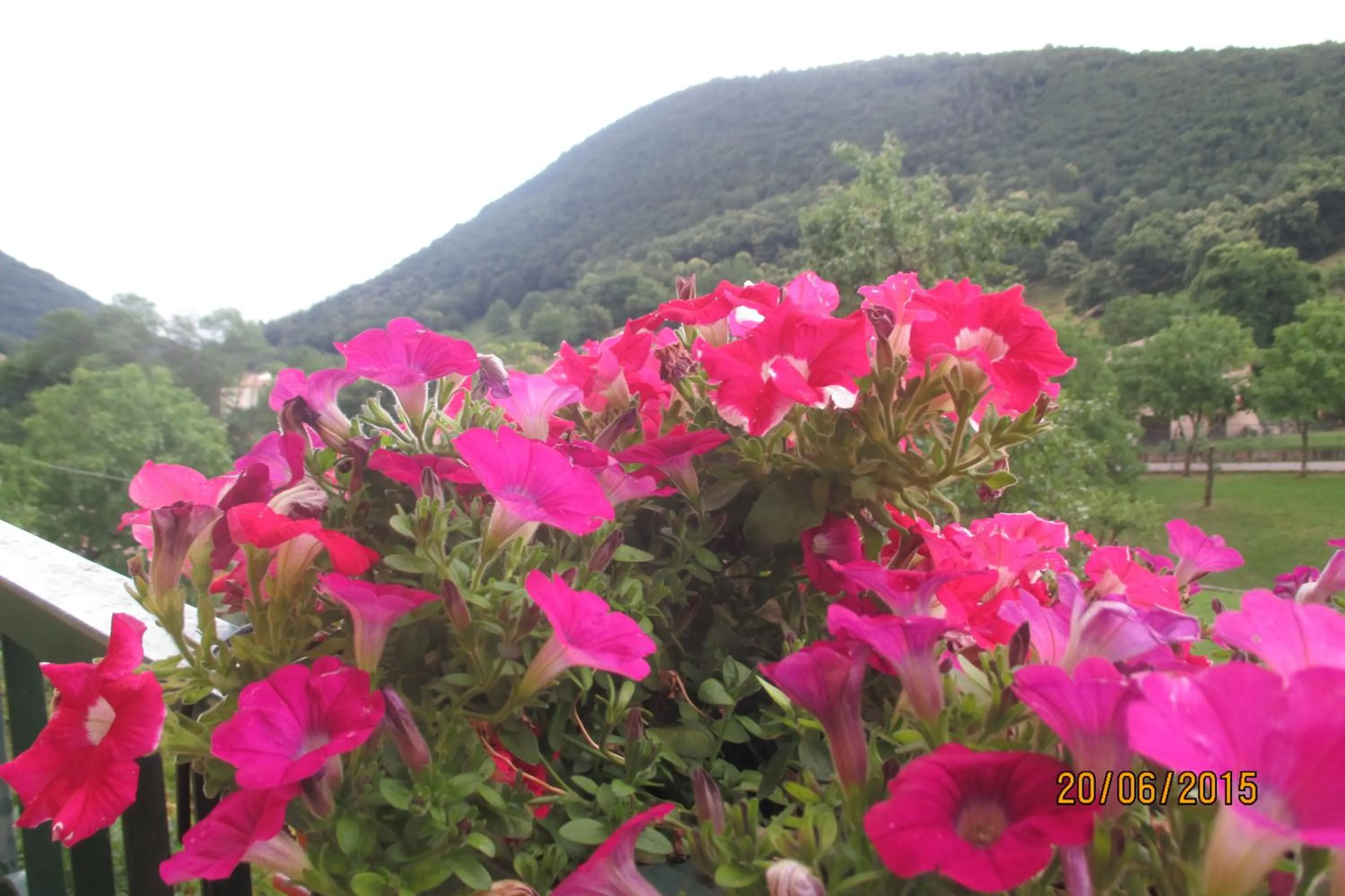 Decorative detail in Hotel Montebaldina