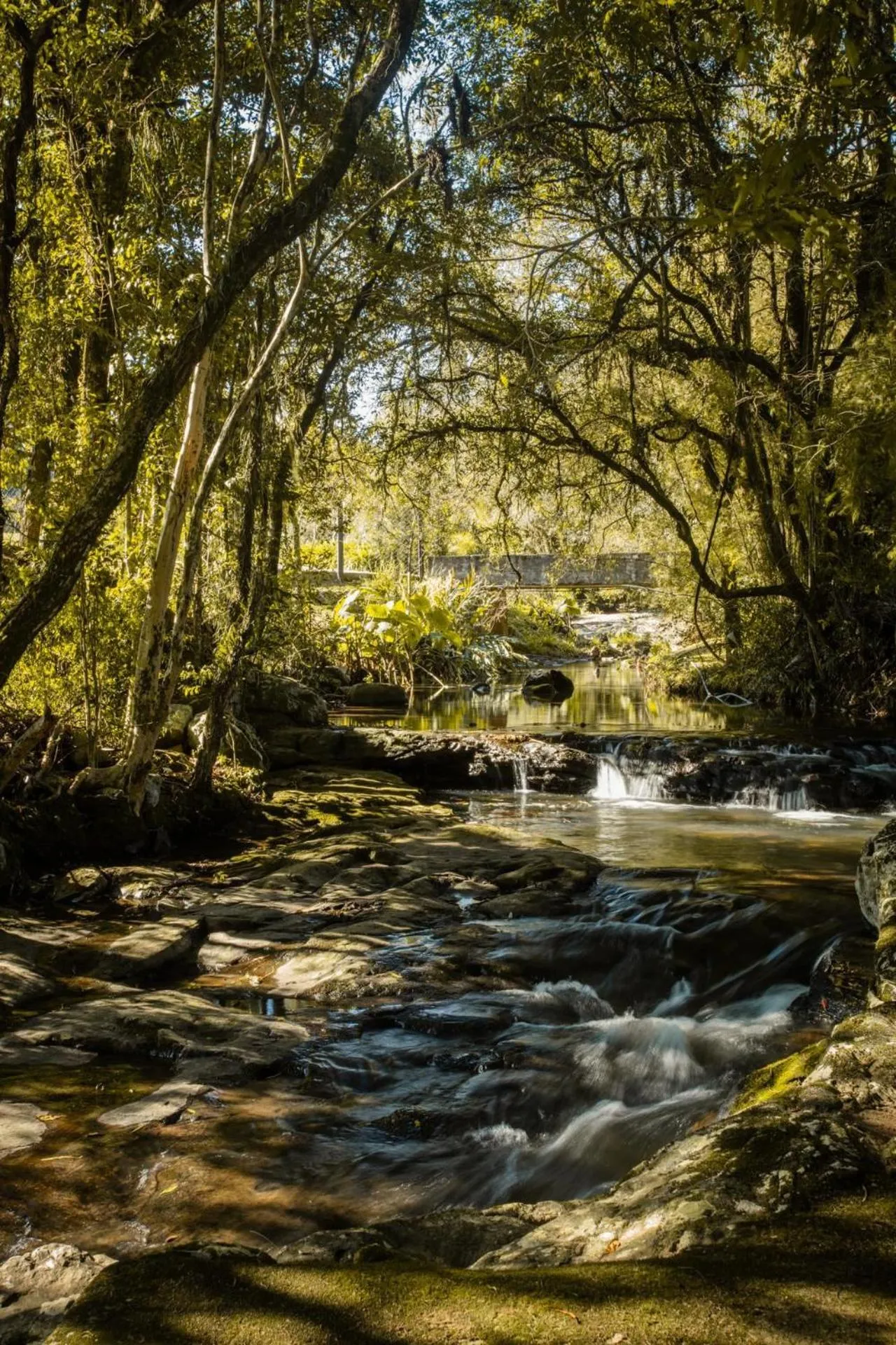 Casa no Campo Caminho do Salto