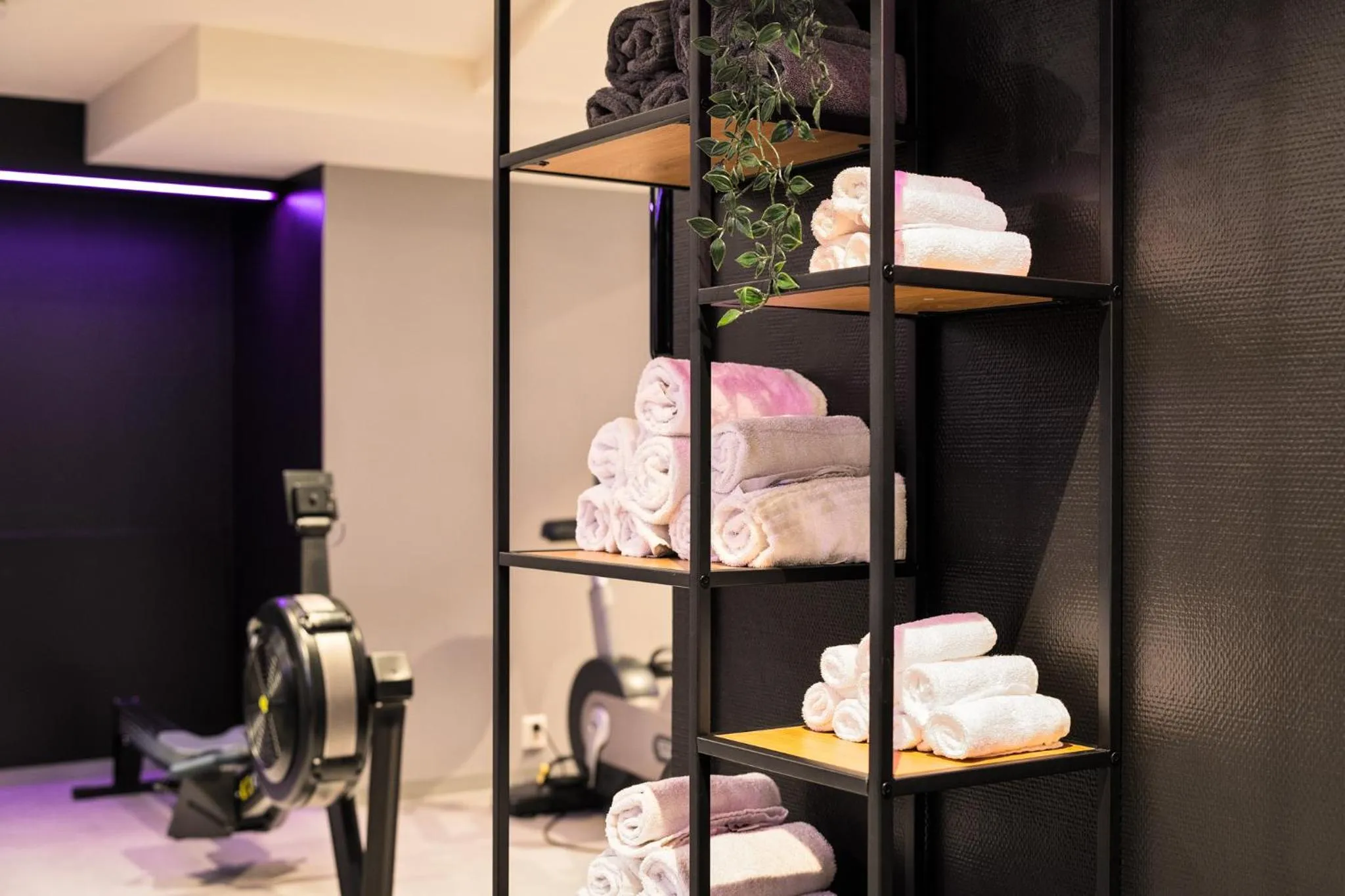 Fitness centre/facilities in Home Hotel Bryggen