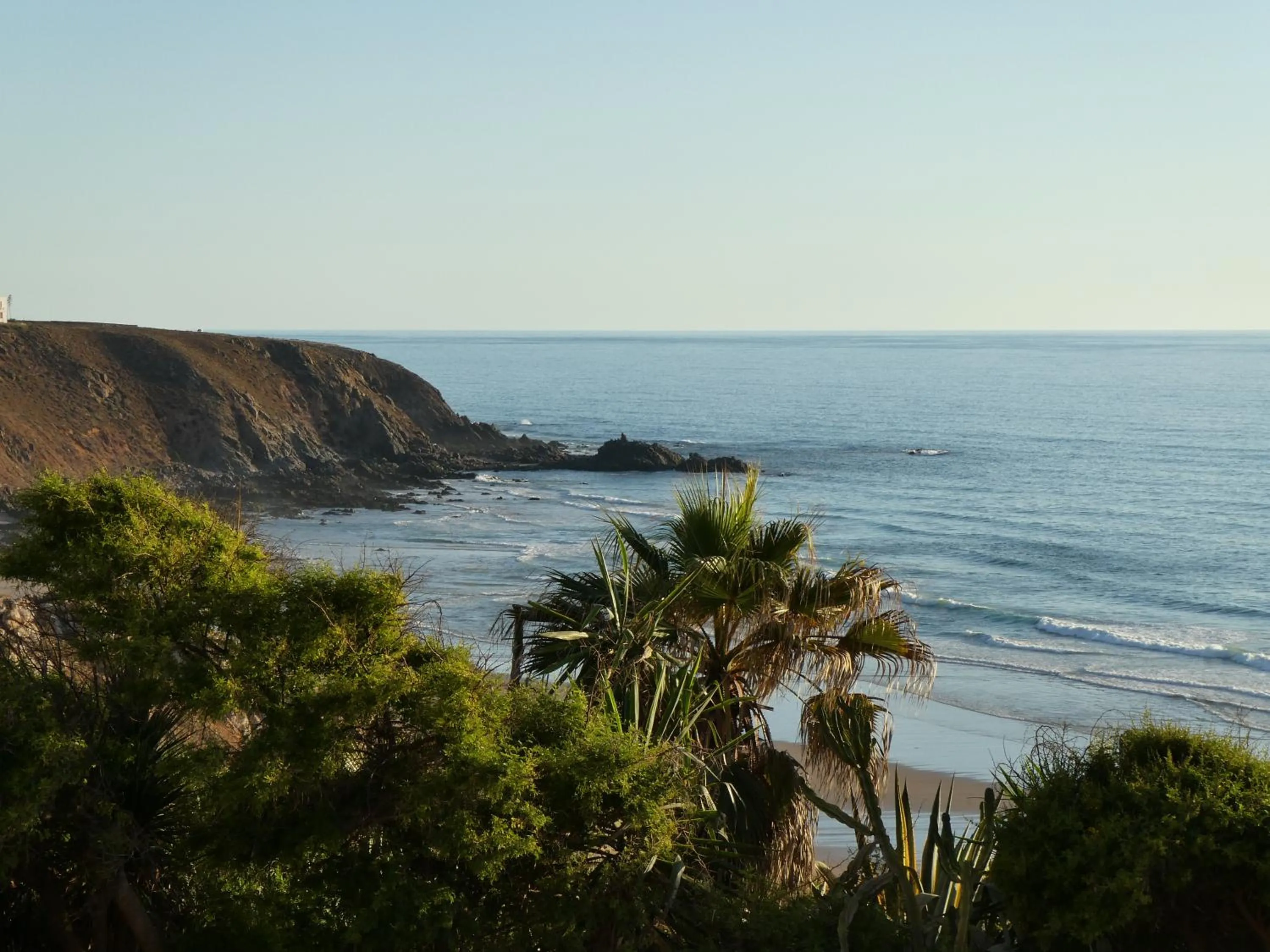 Garden view in Kasbah Tabelkoukt