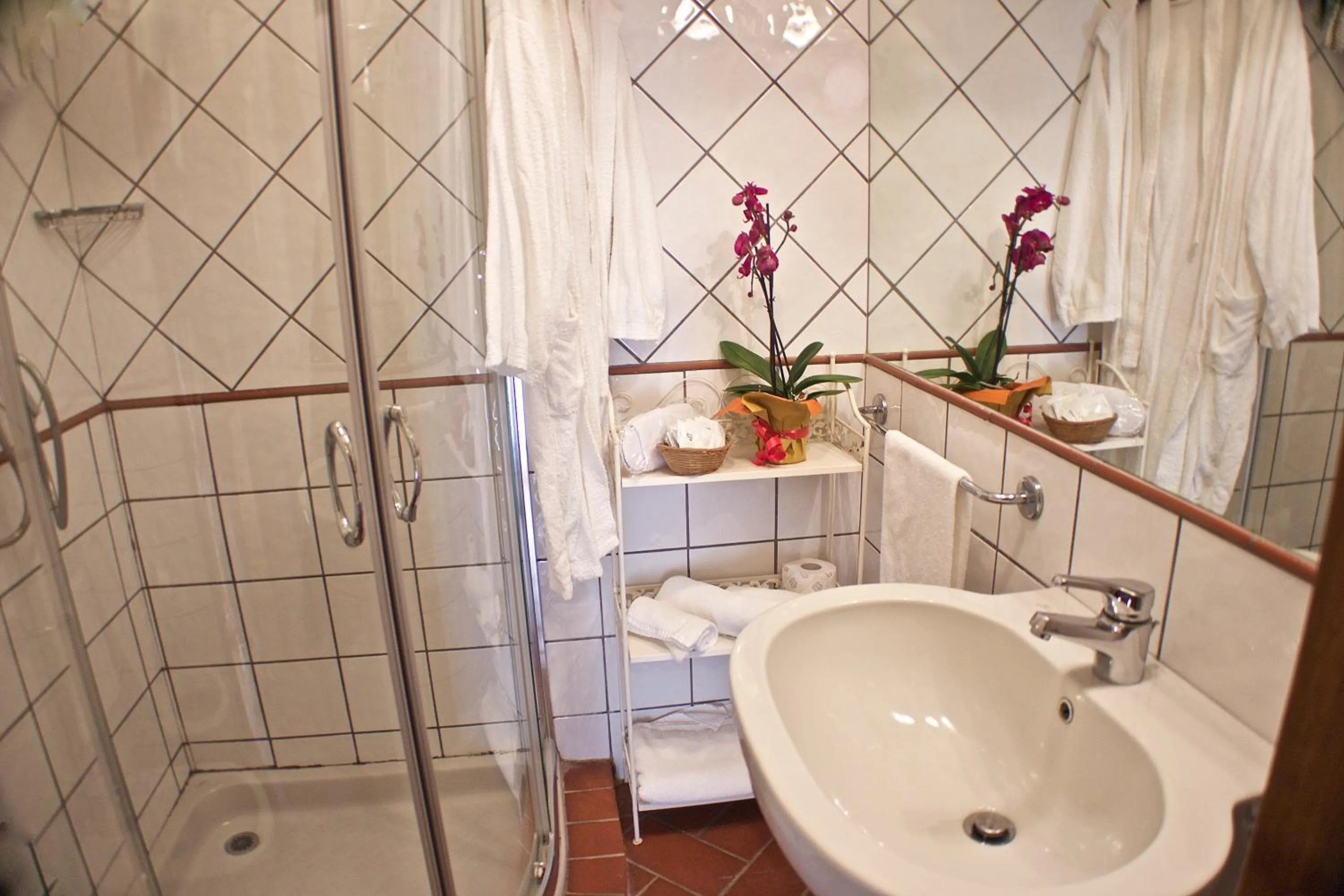 Bathroom in Podere Dell'Anselmo