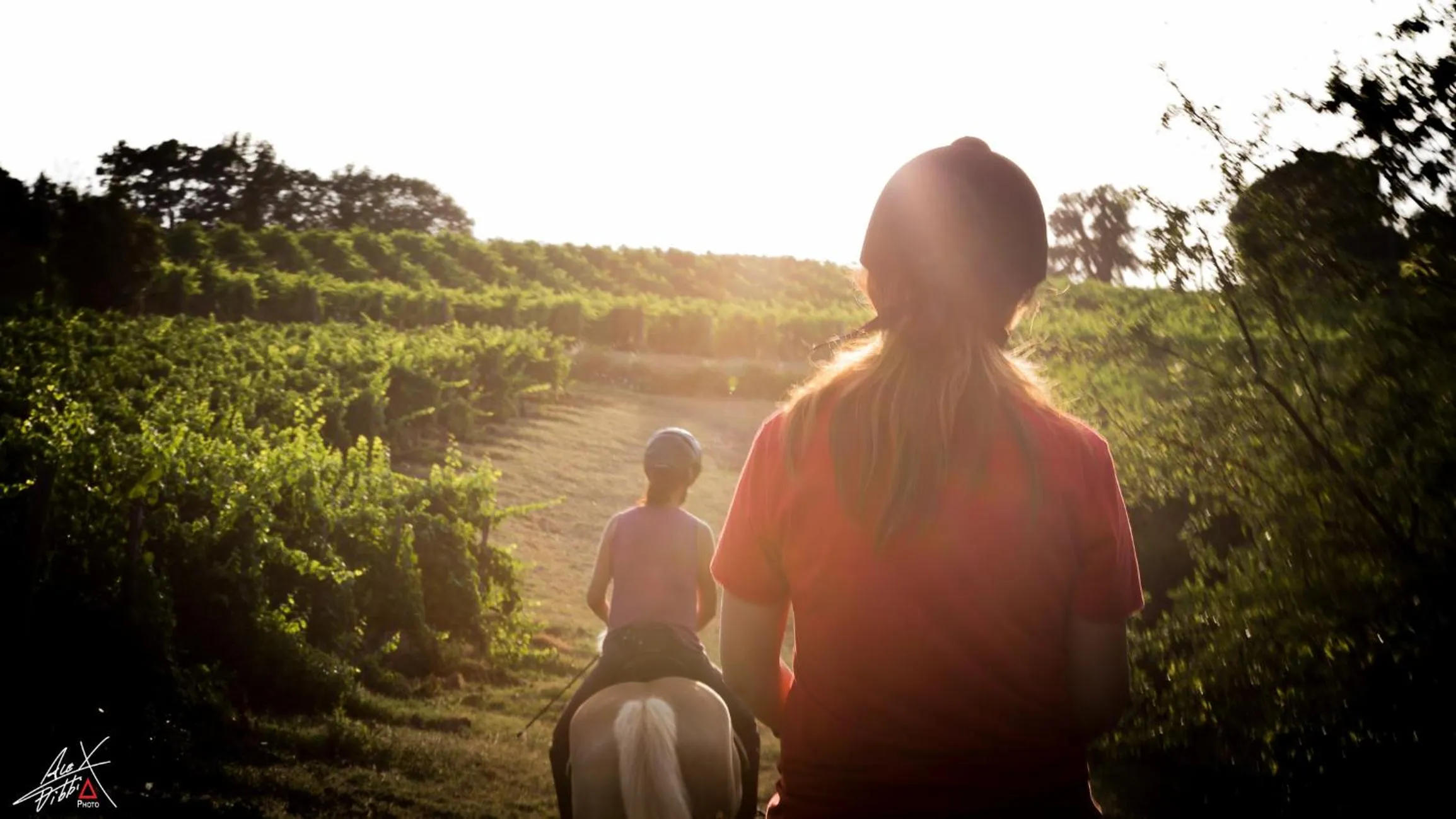 Cycling in Podere Dell'Anselmo