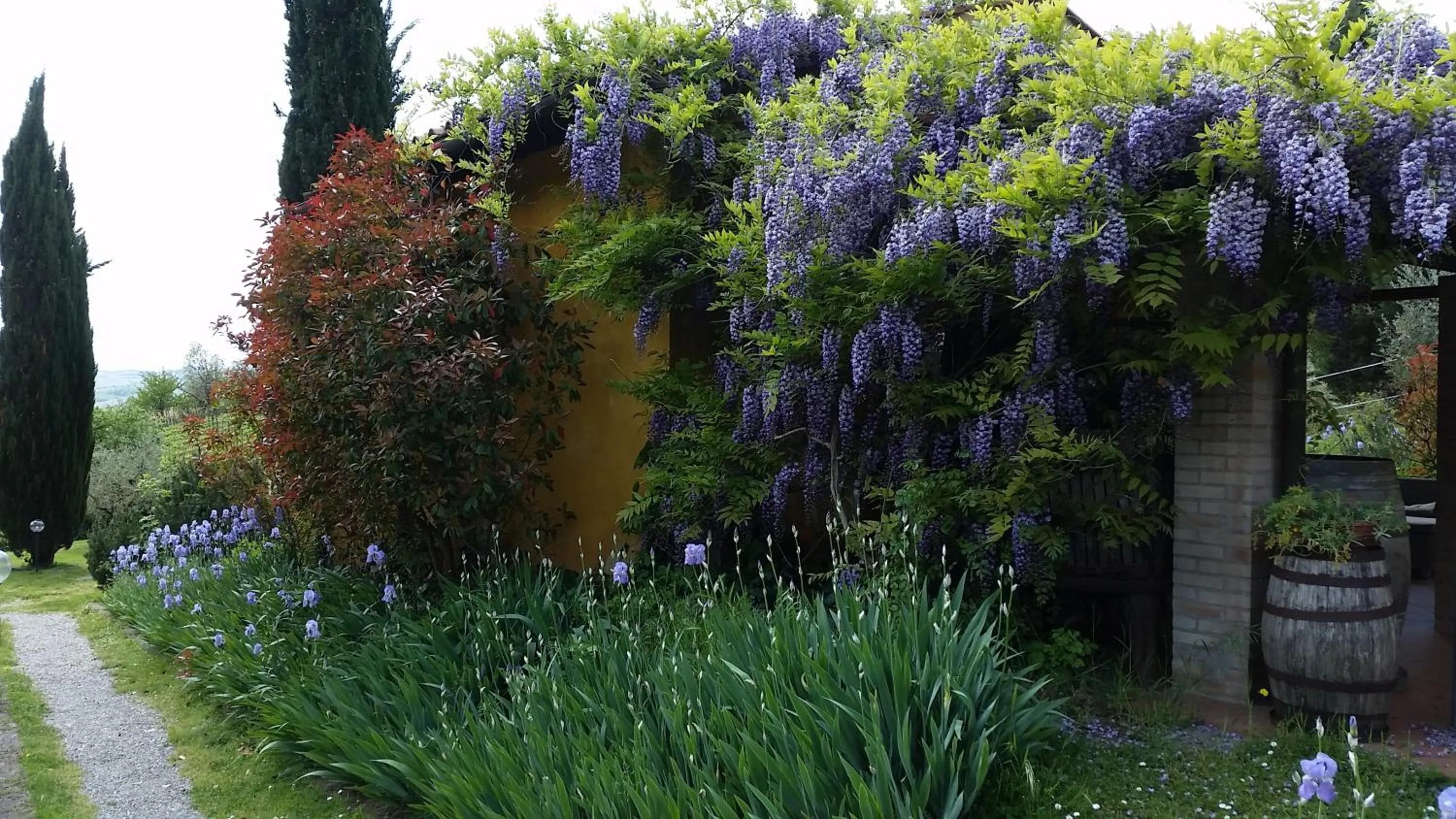 Decorative detail in Podere Dell'Anselmo