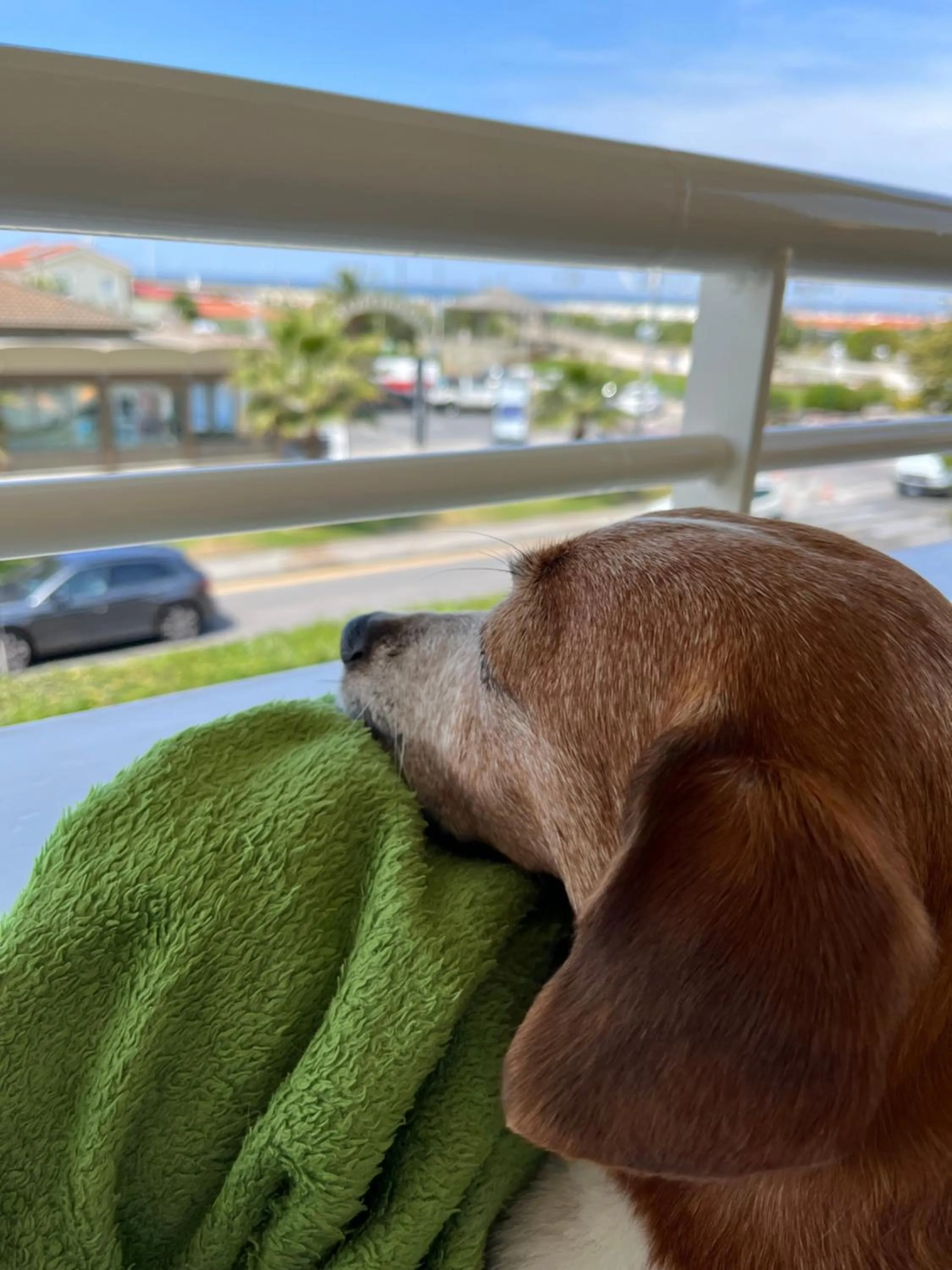 View (from property/room) in Hotel Esplanade