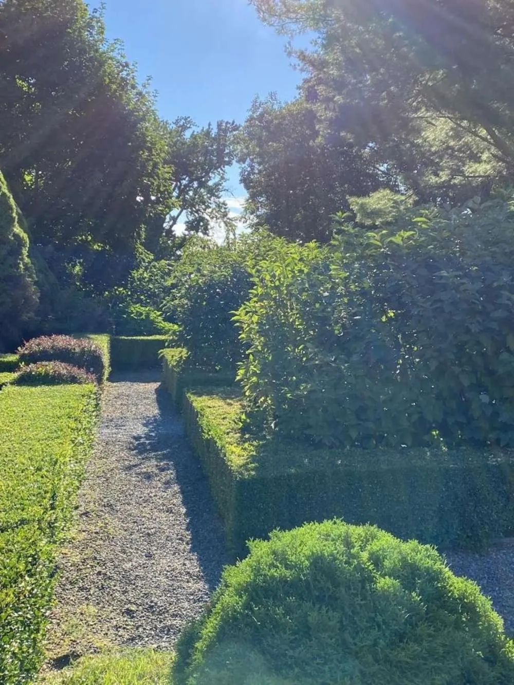 Garden in John Joseph Inn