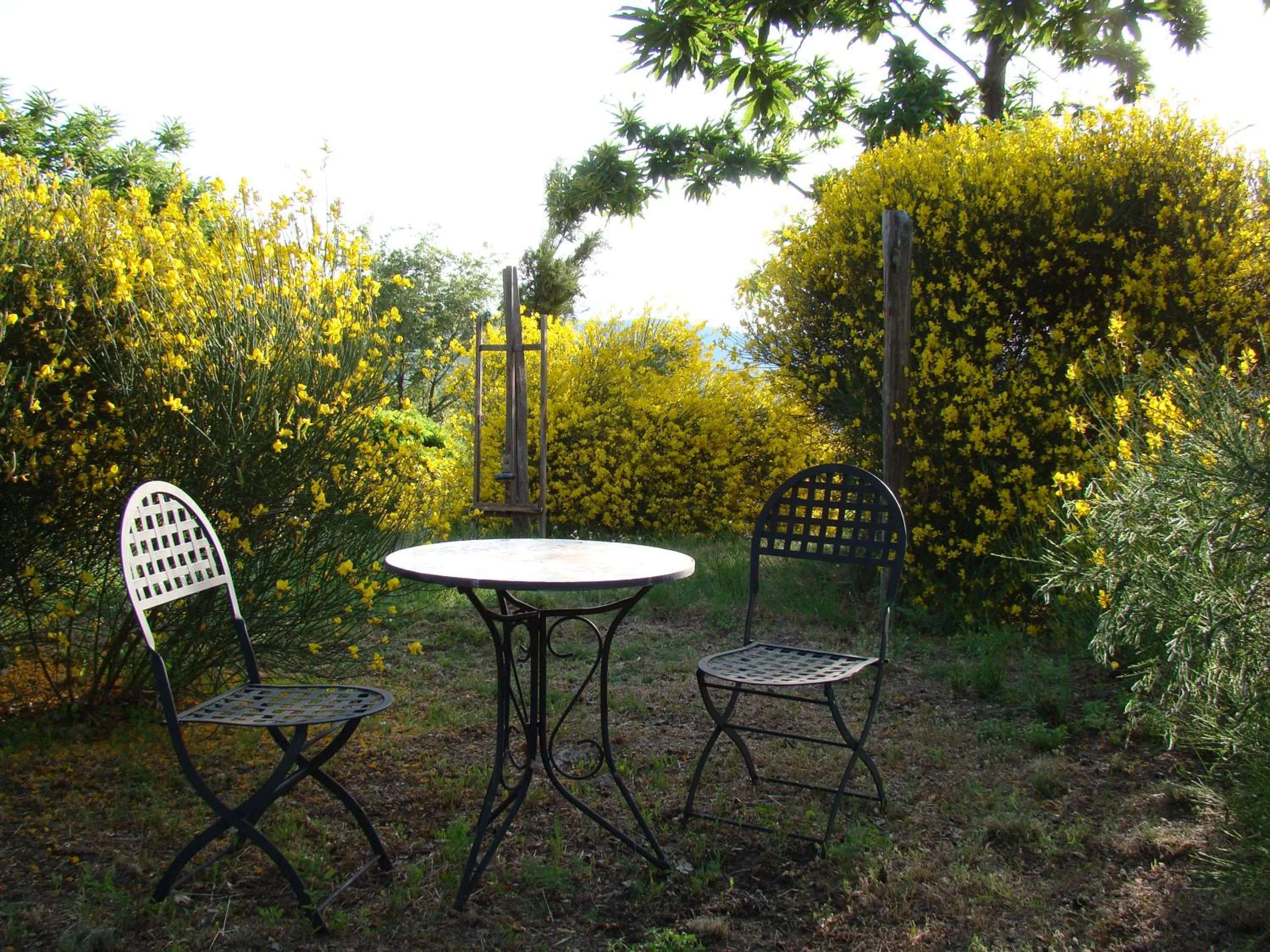 Garden in Borgo Tepolini Country House