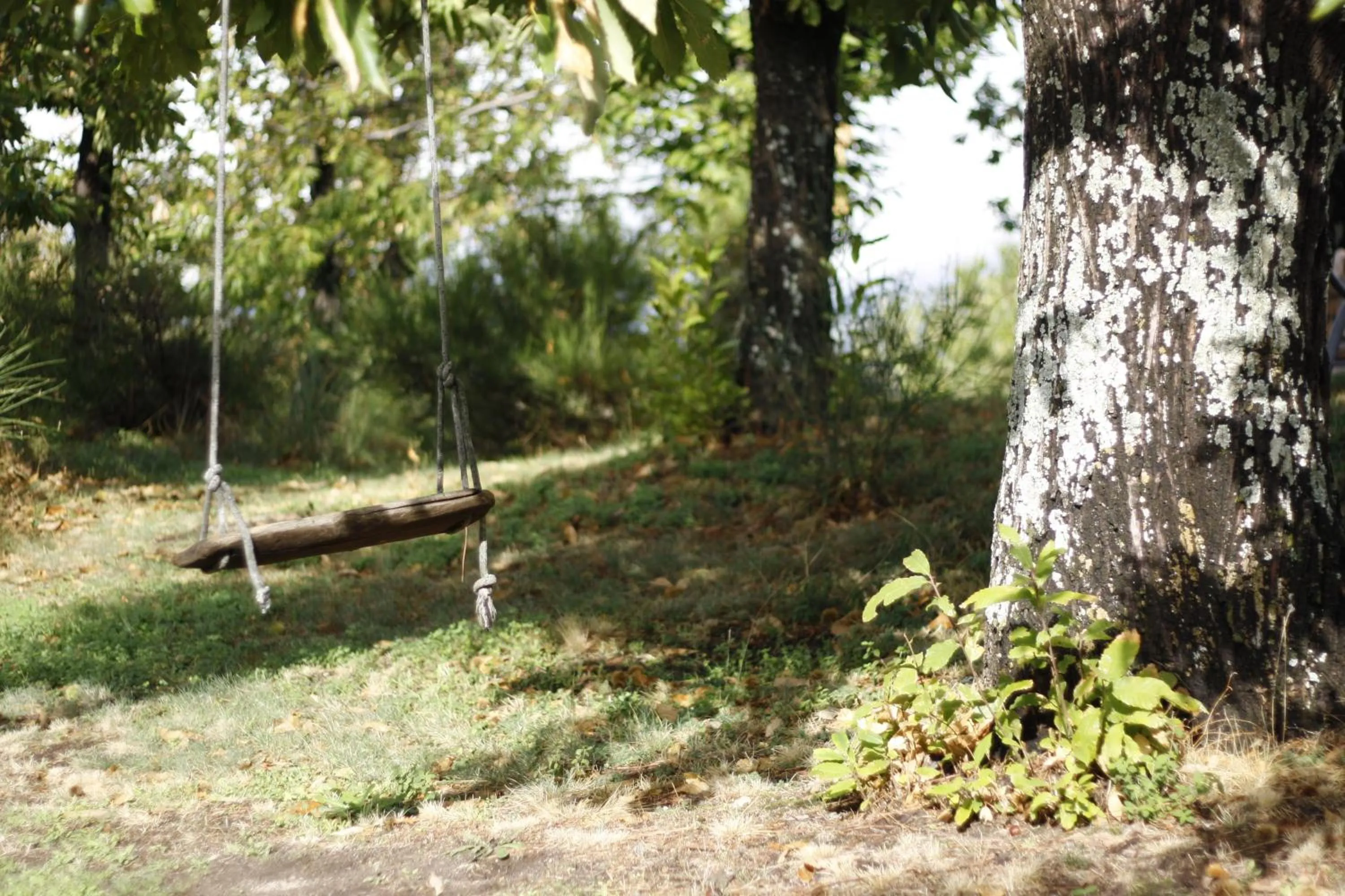 Garden in Borgo Tepolini Country House