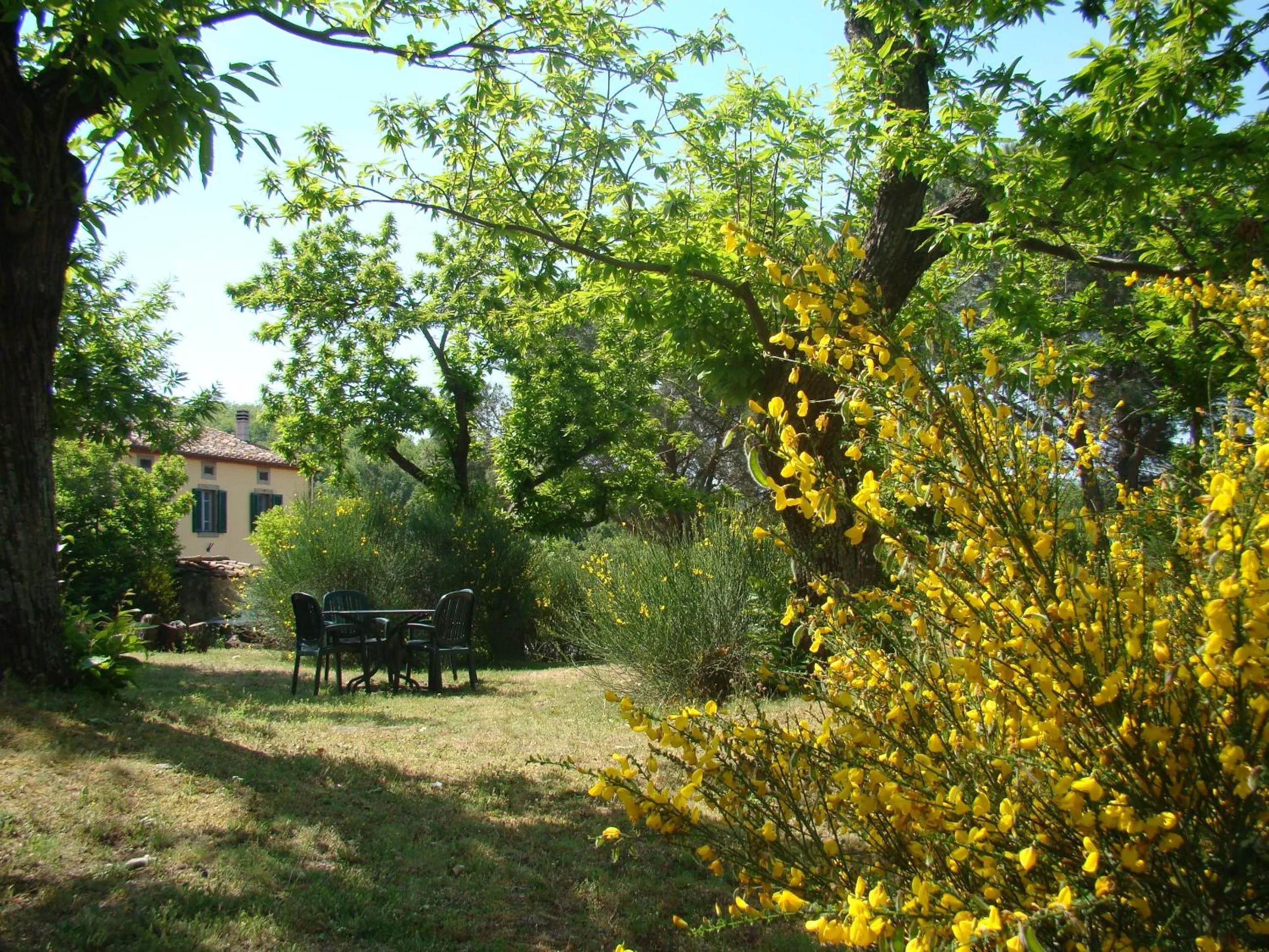 Garden in Borgo Tepolini Country House