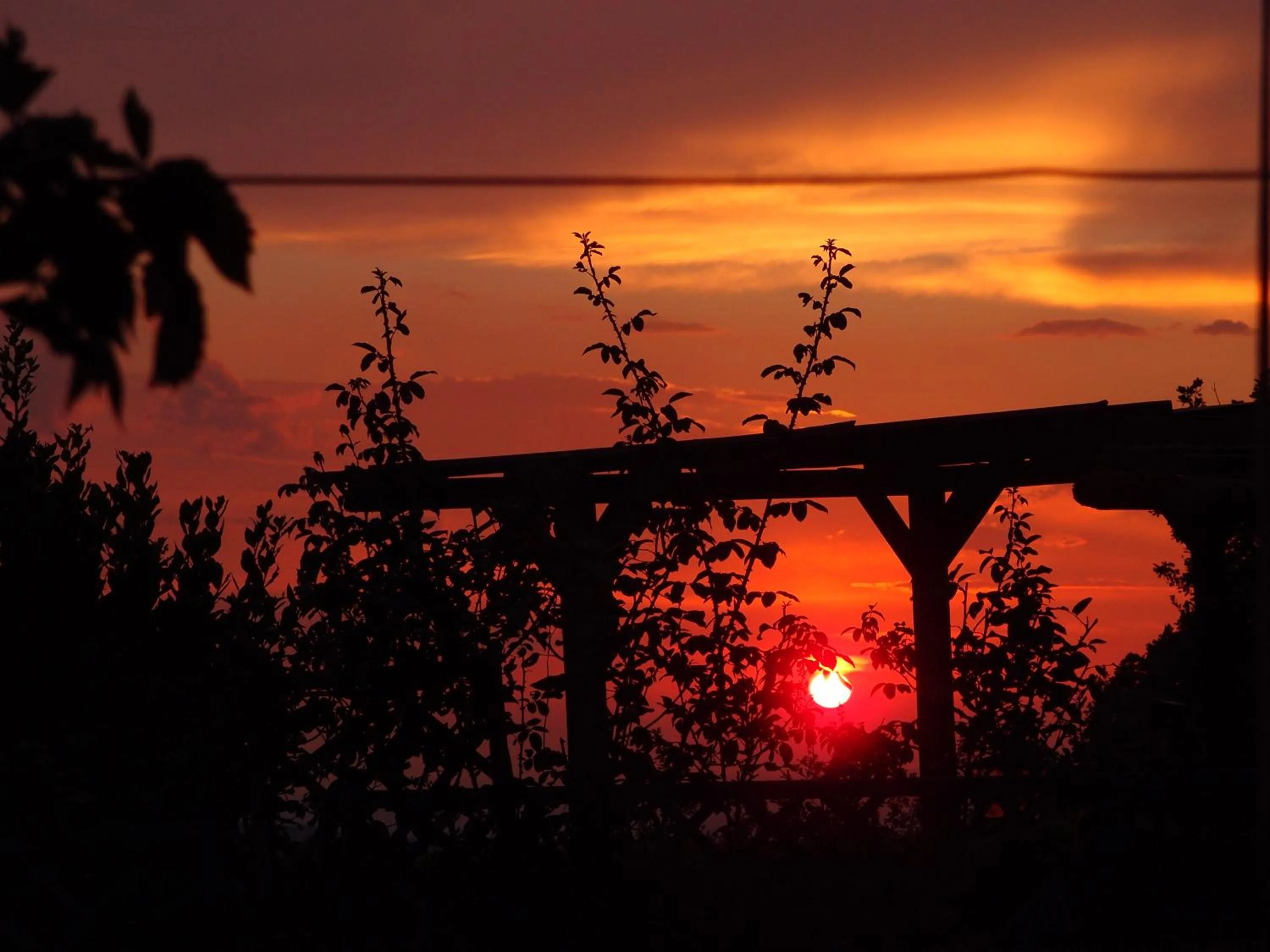 Garden in Borgo Tepolini Country House