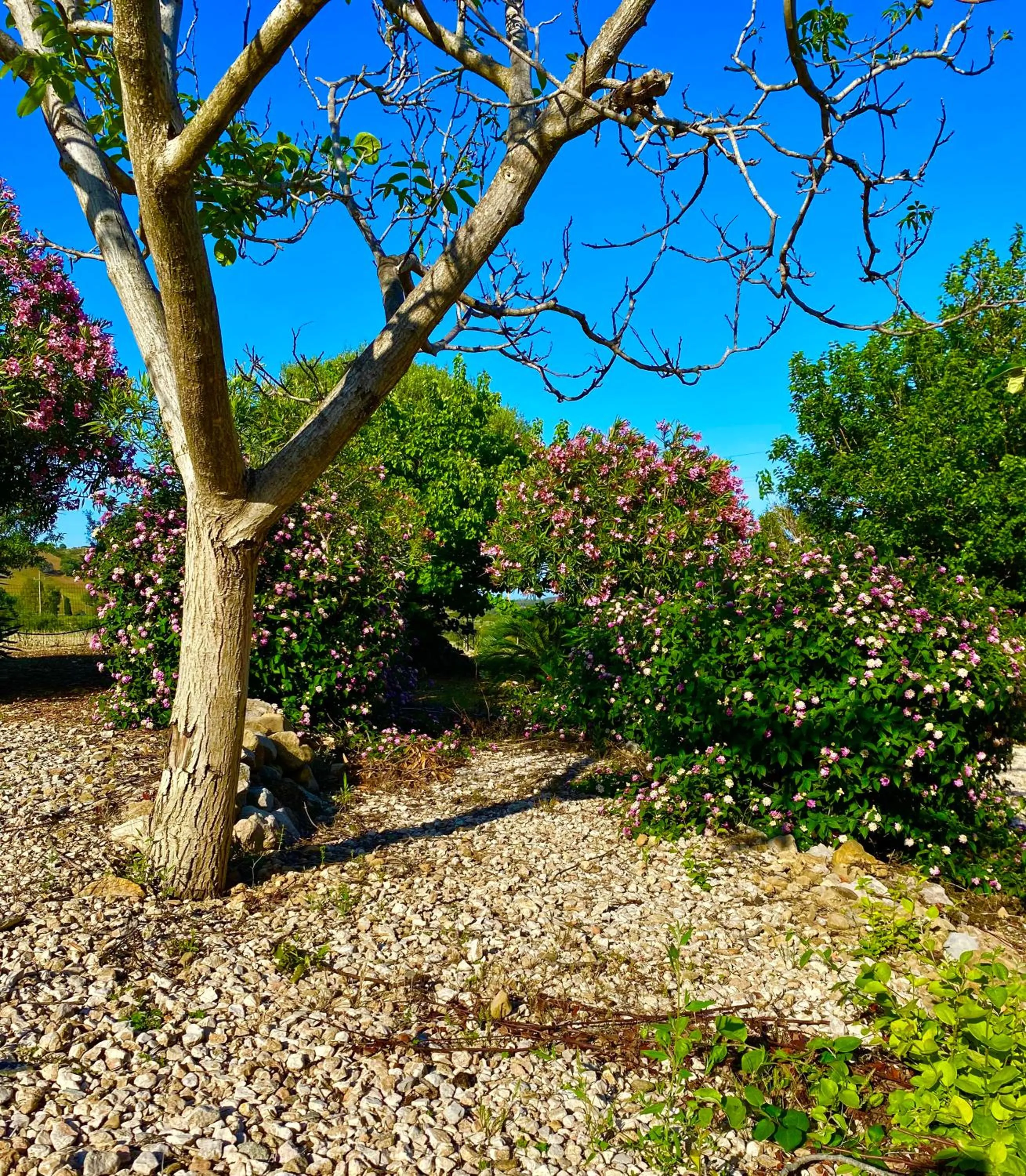 Property building in Hotel Velasole