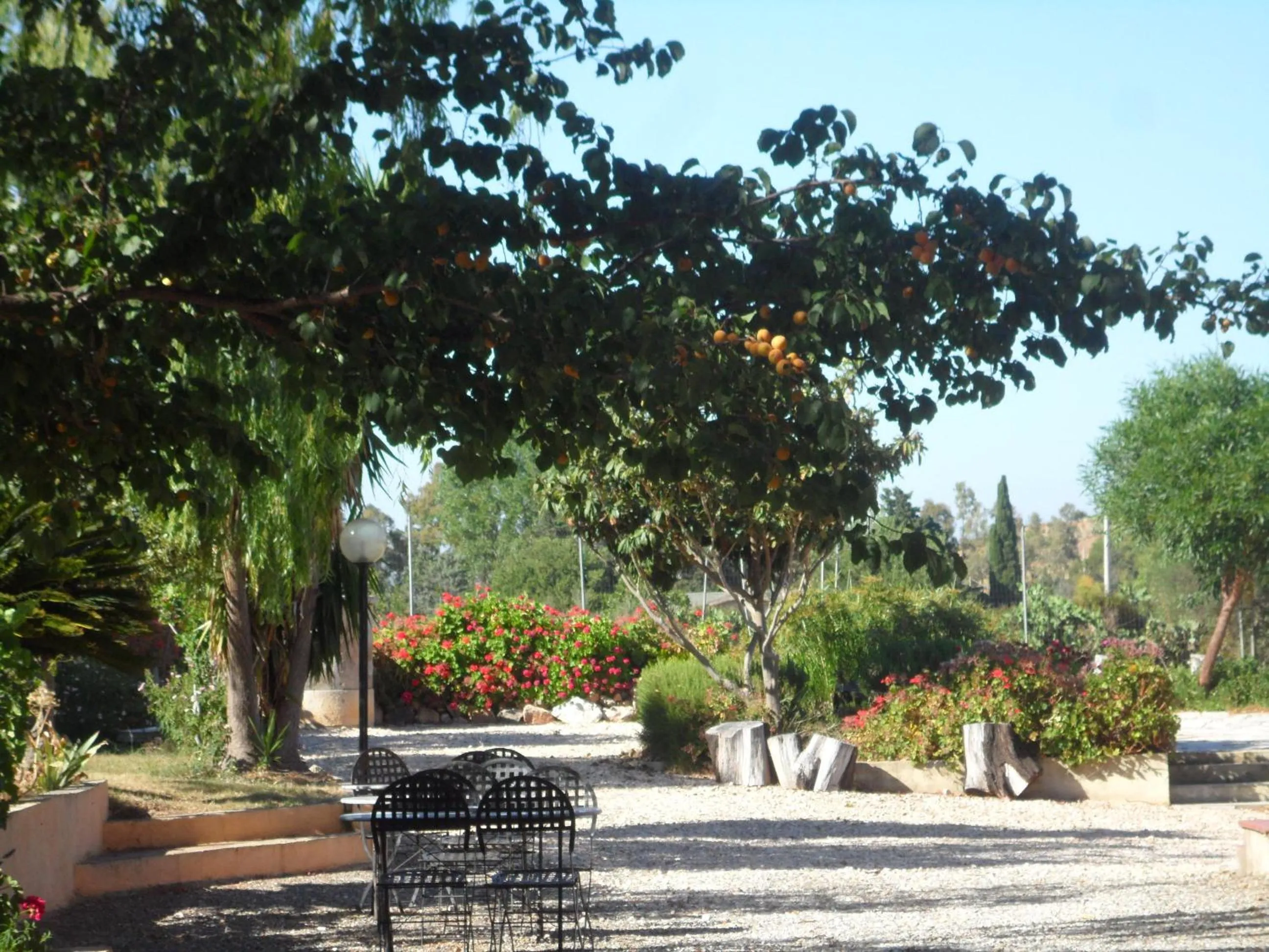 Patio in Hotel Velasole
