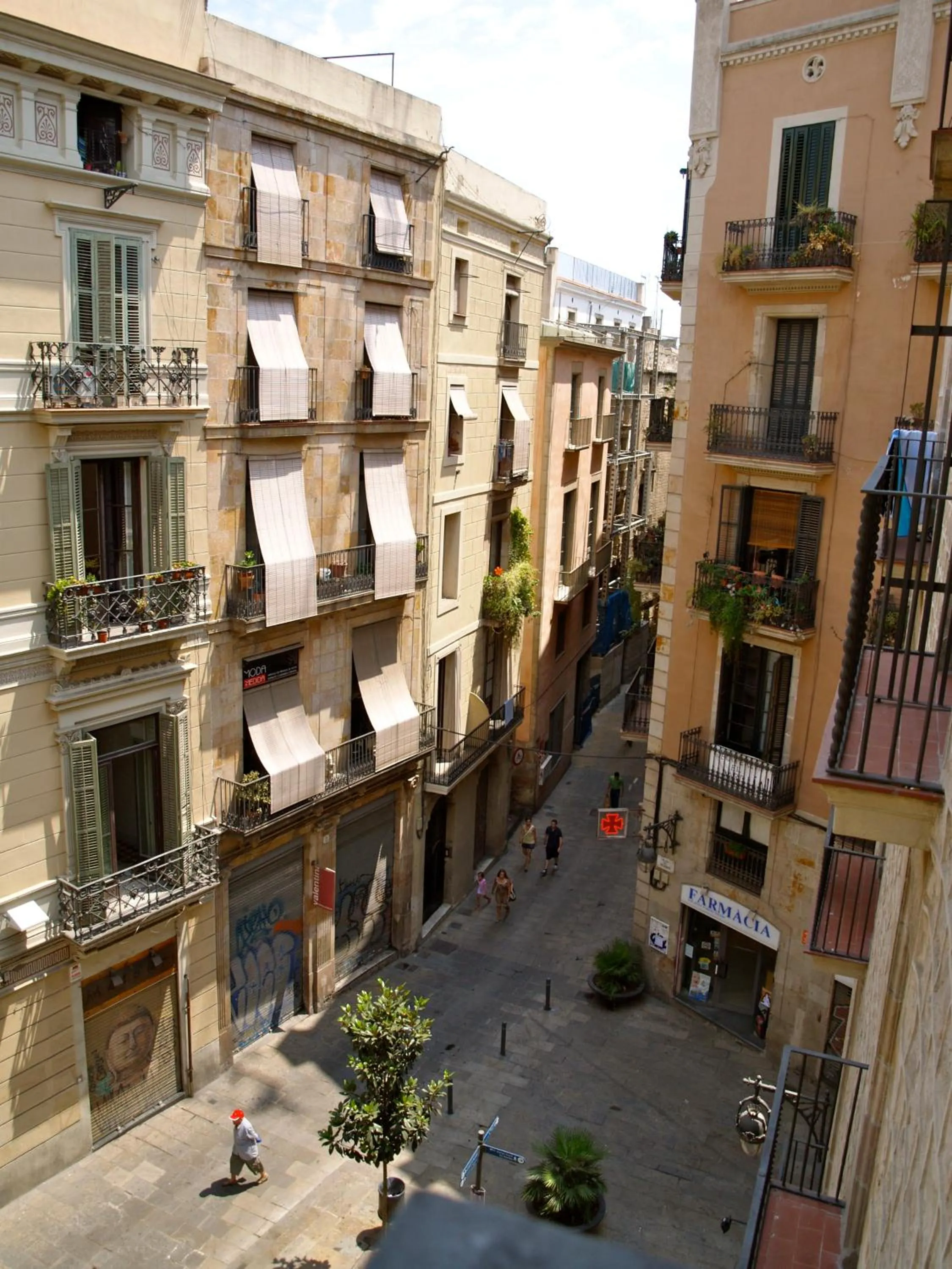 Area and facilities in Hostal Nitzs Bcn