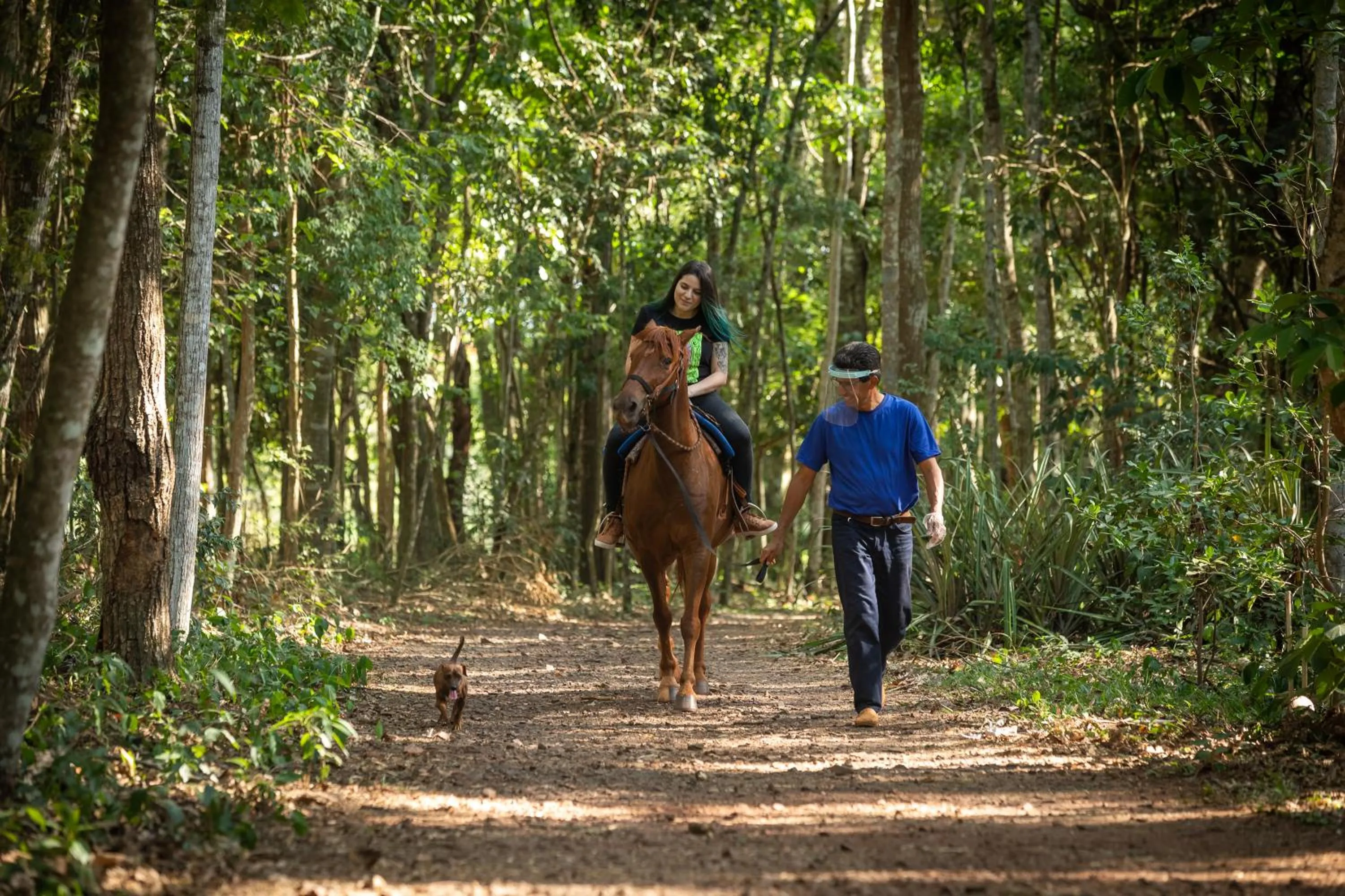 Activities in Canzi Cataratas Hotel