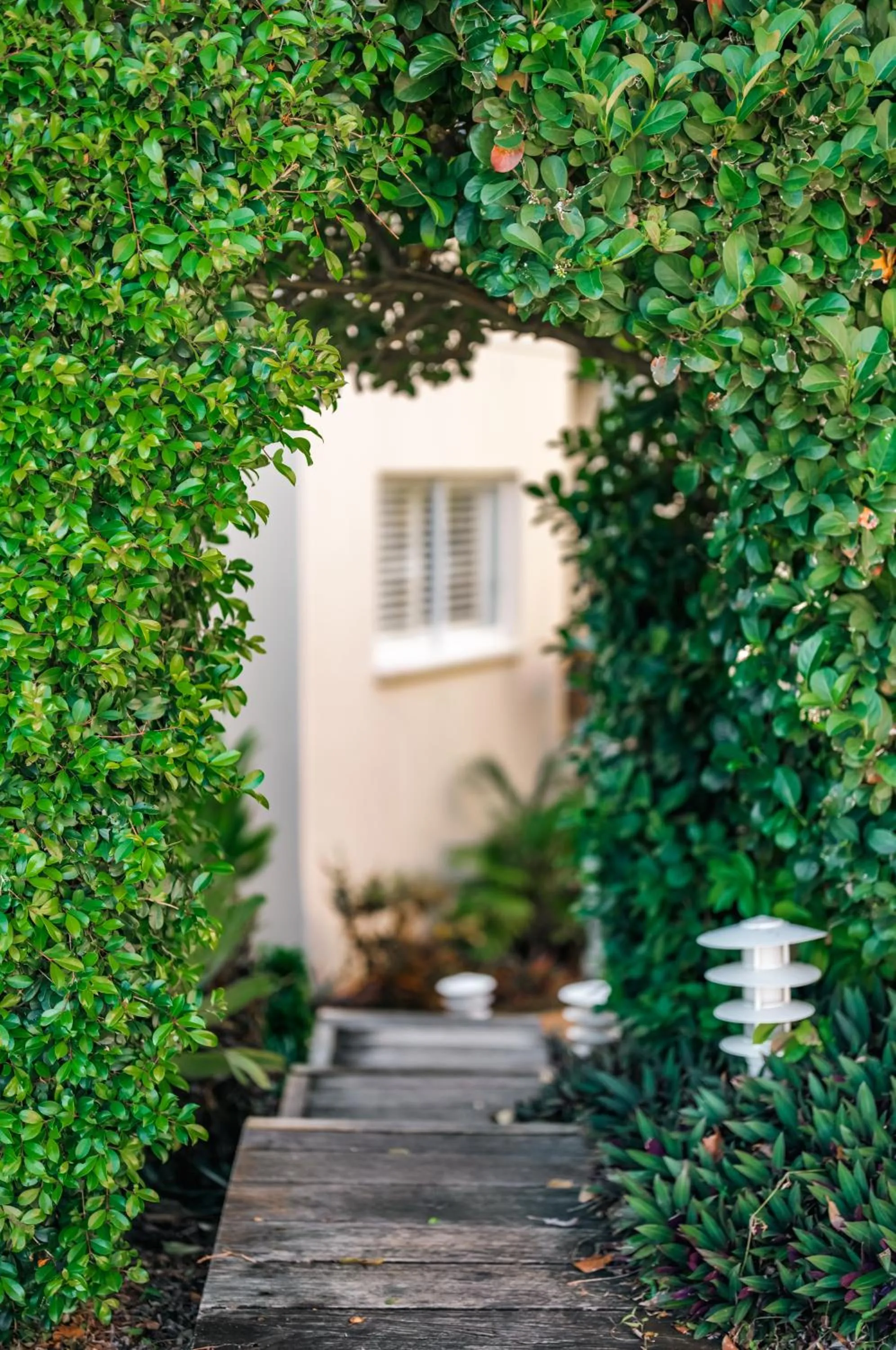Garden in Noosa Crest Resort