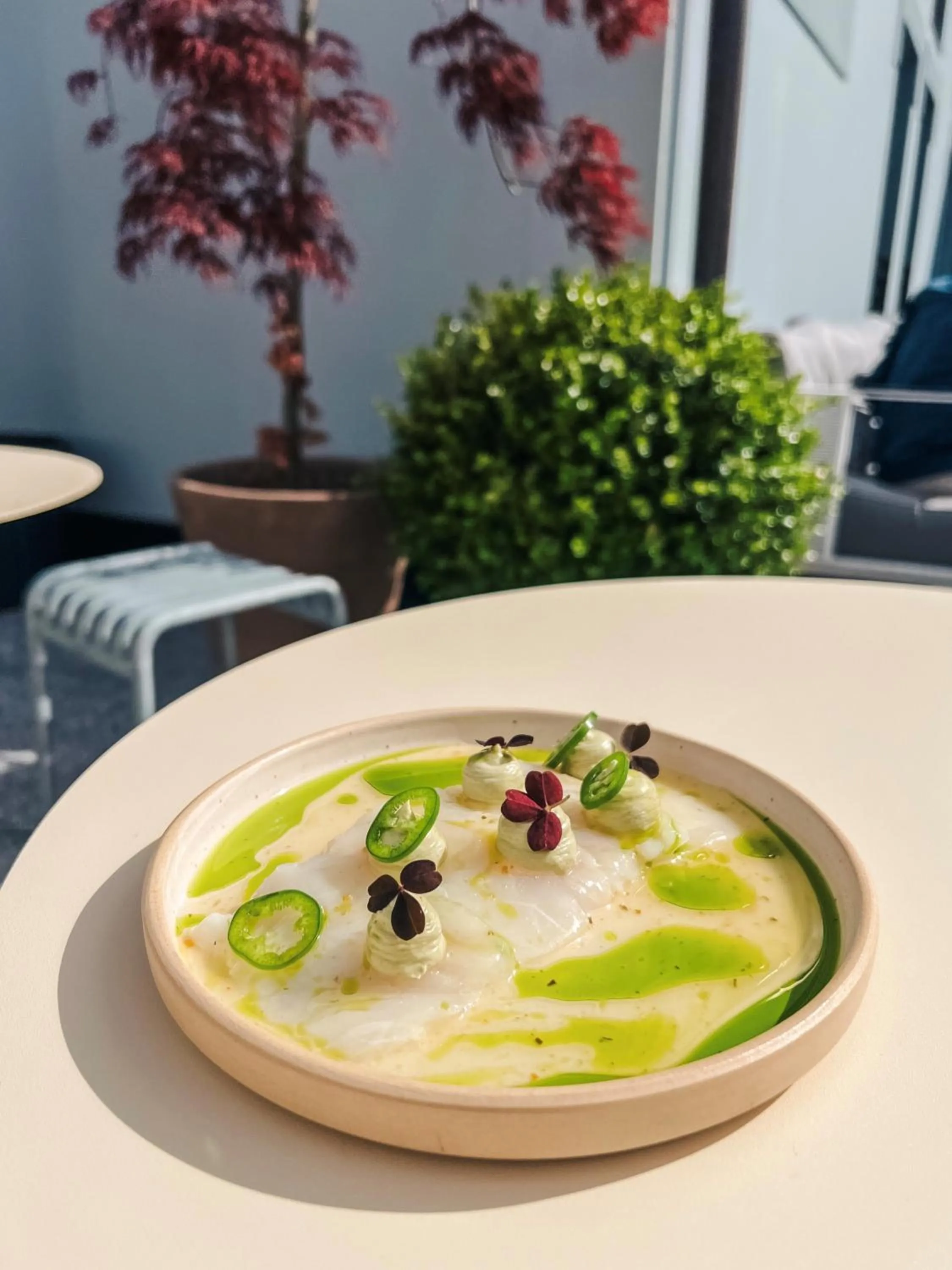 Restaurant/places to eat in Hotel 1904